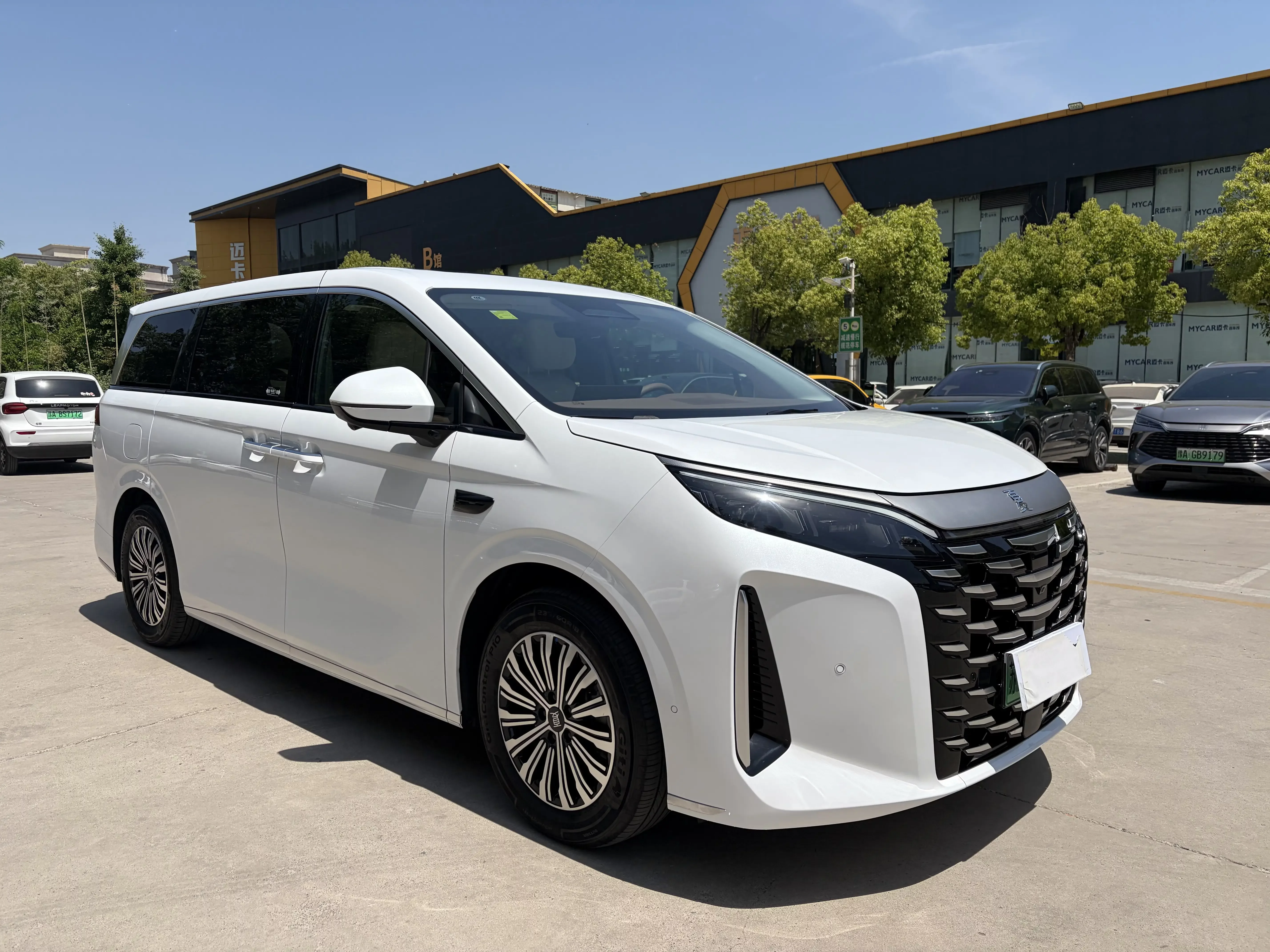 BYD summer