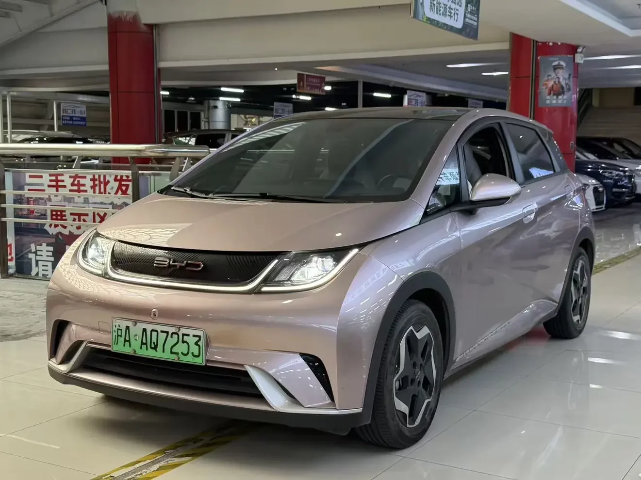BYD dolphin