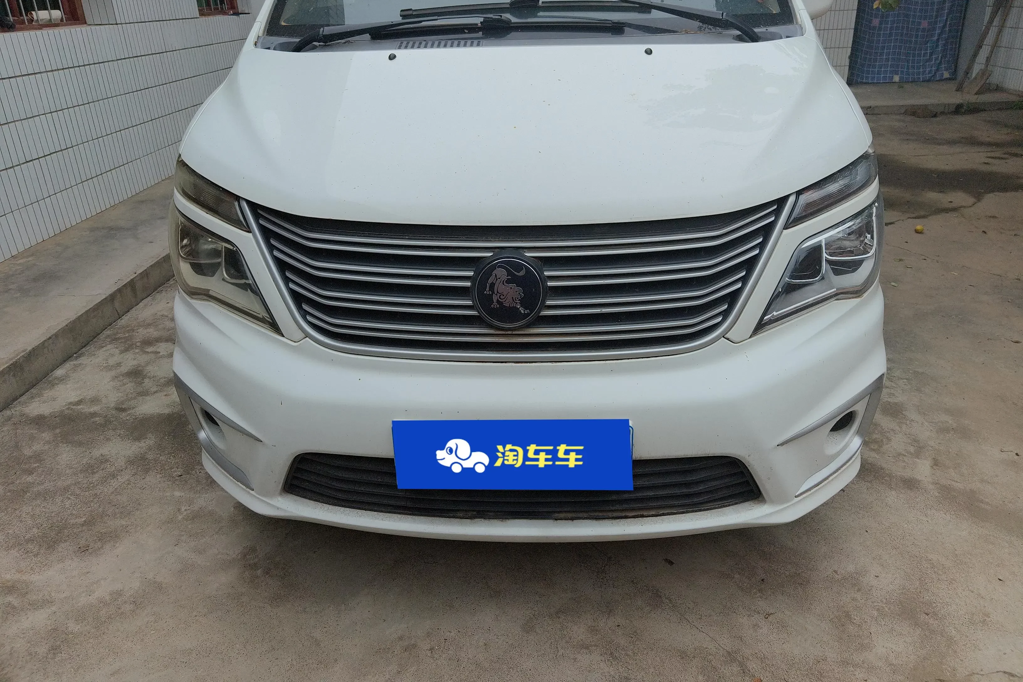 Forthing Lingzhi