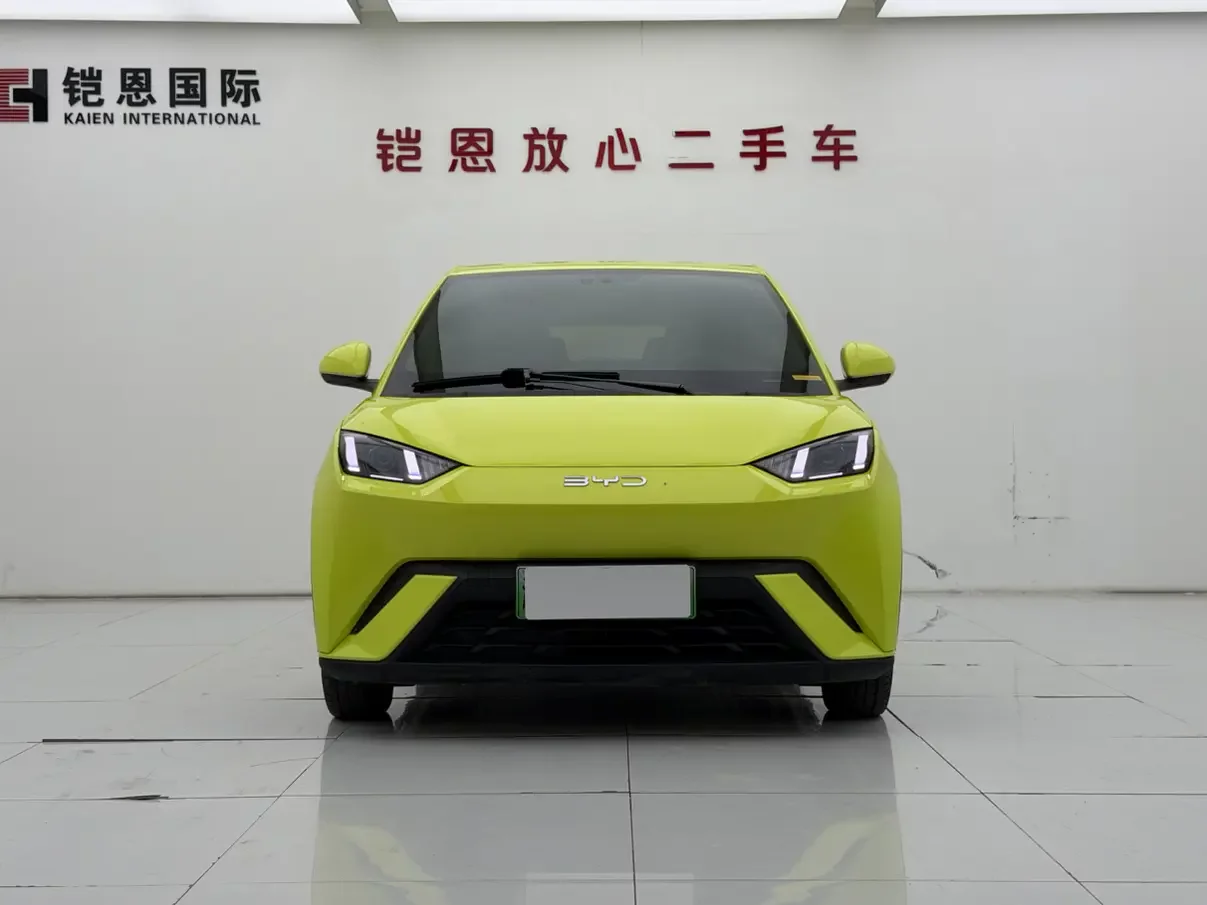 BYD seagull