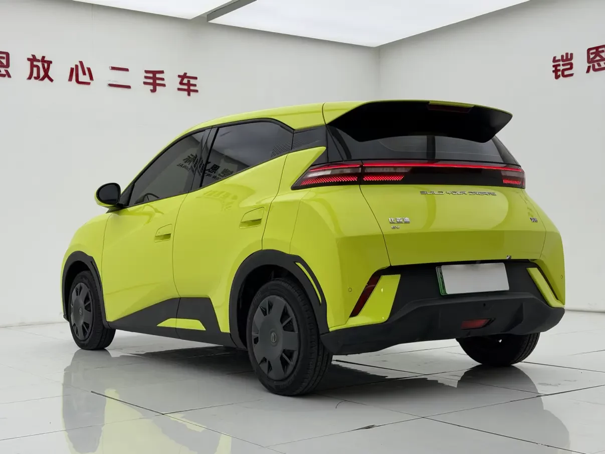 BYD seagull