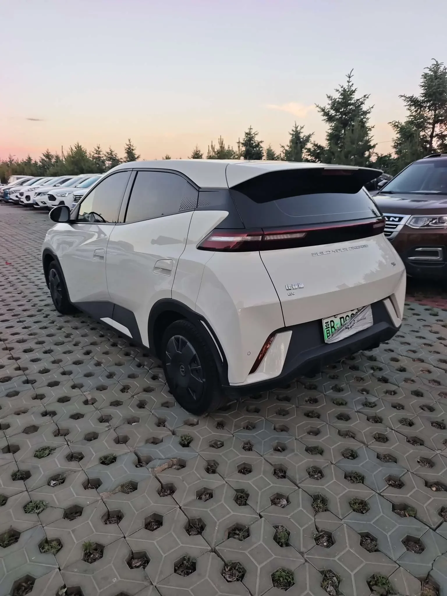 BYD seagull