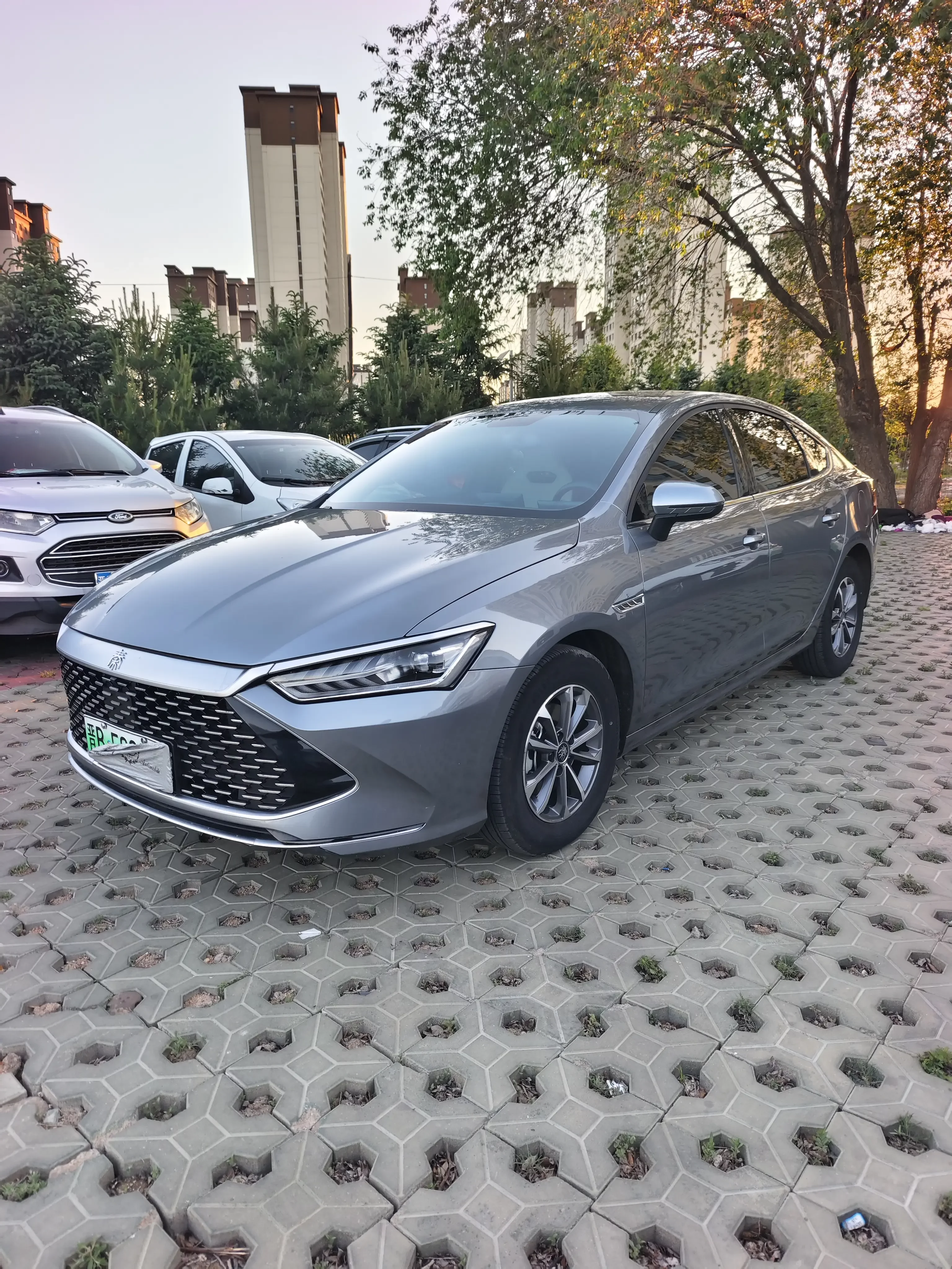 BYD Qin PLUS DM