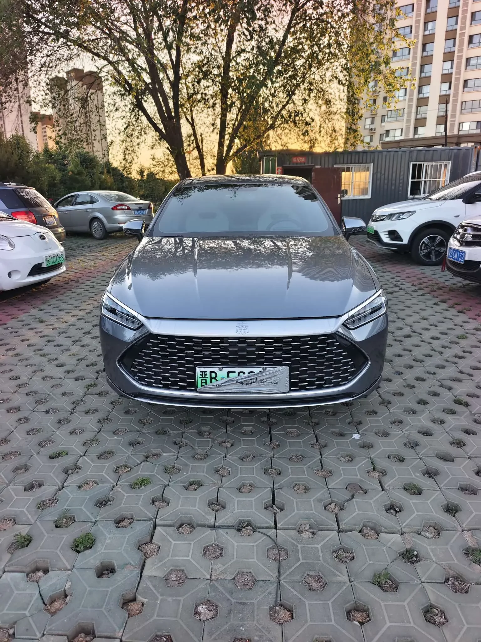 BYD Qin PLUS DM