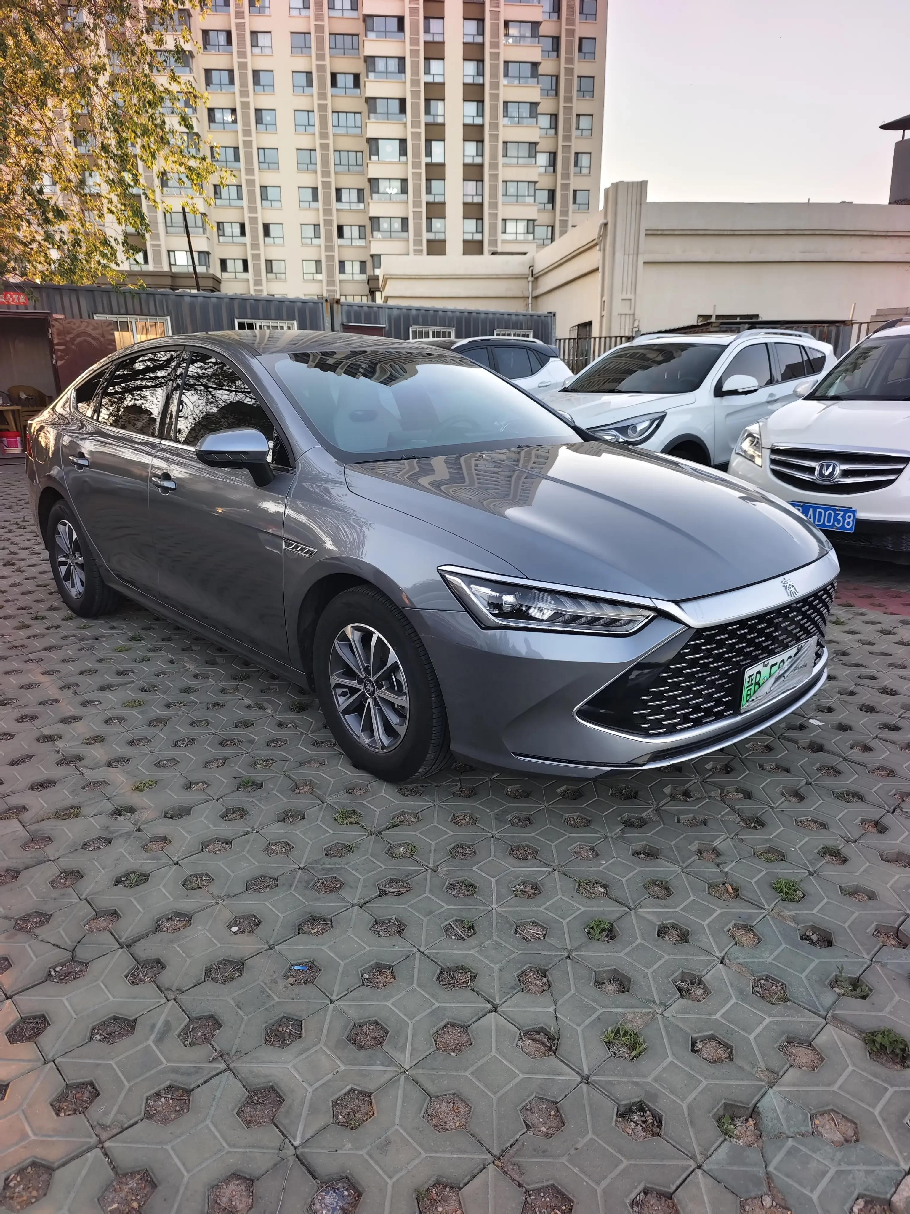 BYD Qin PLUS DM