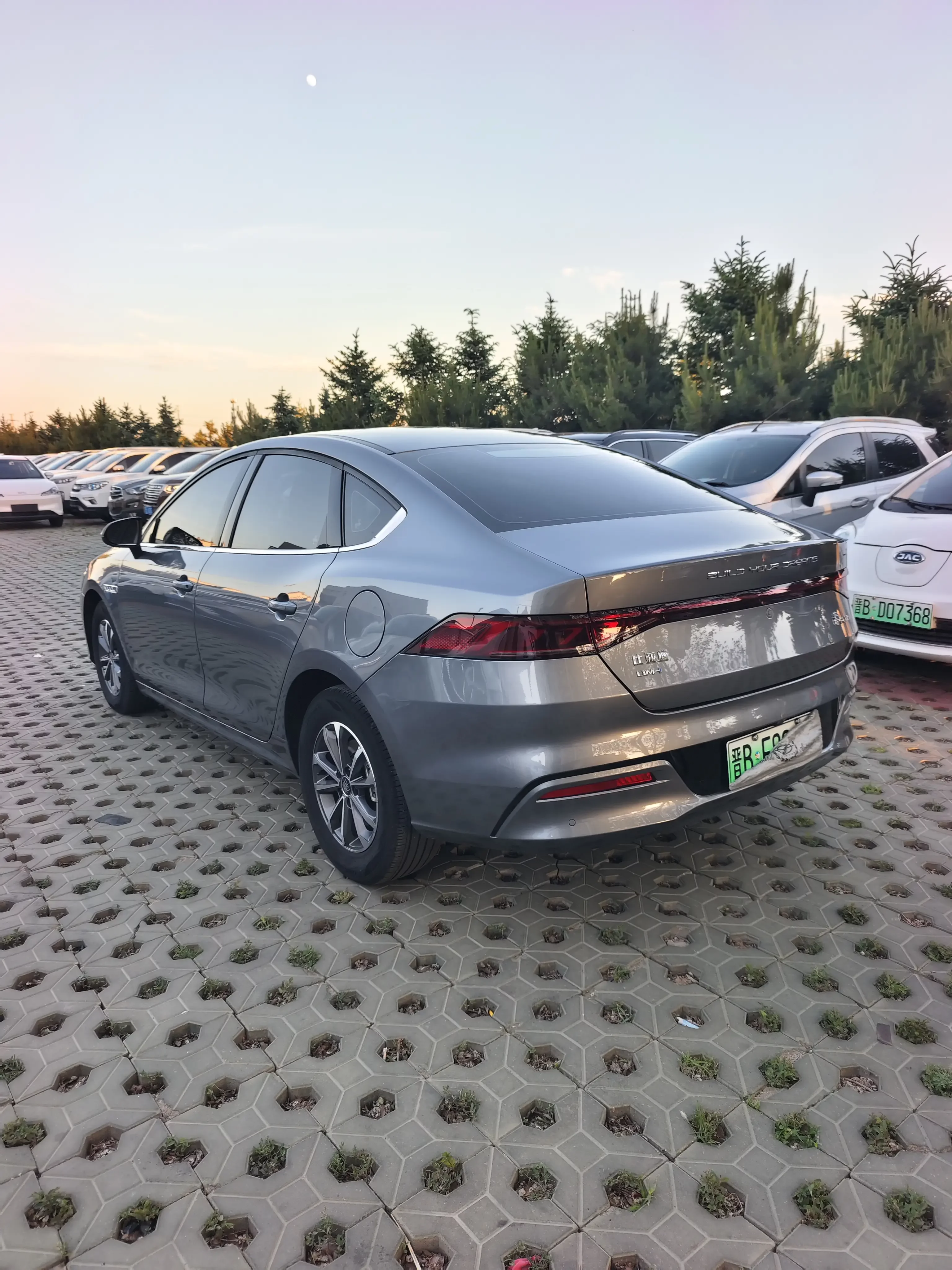 BYD Qin PLUS DM