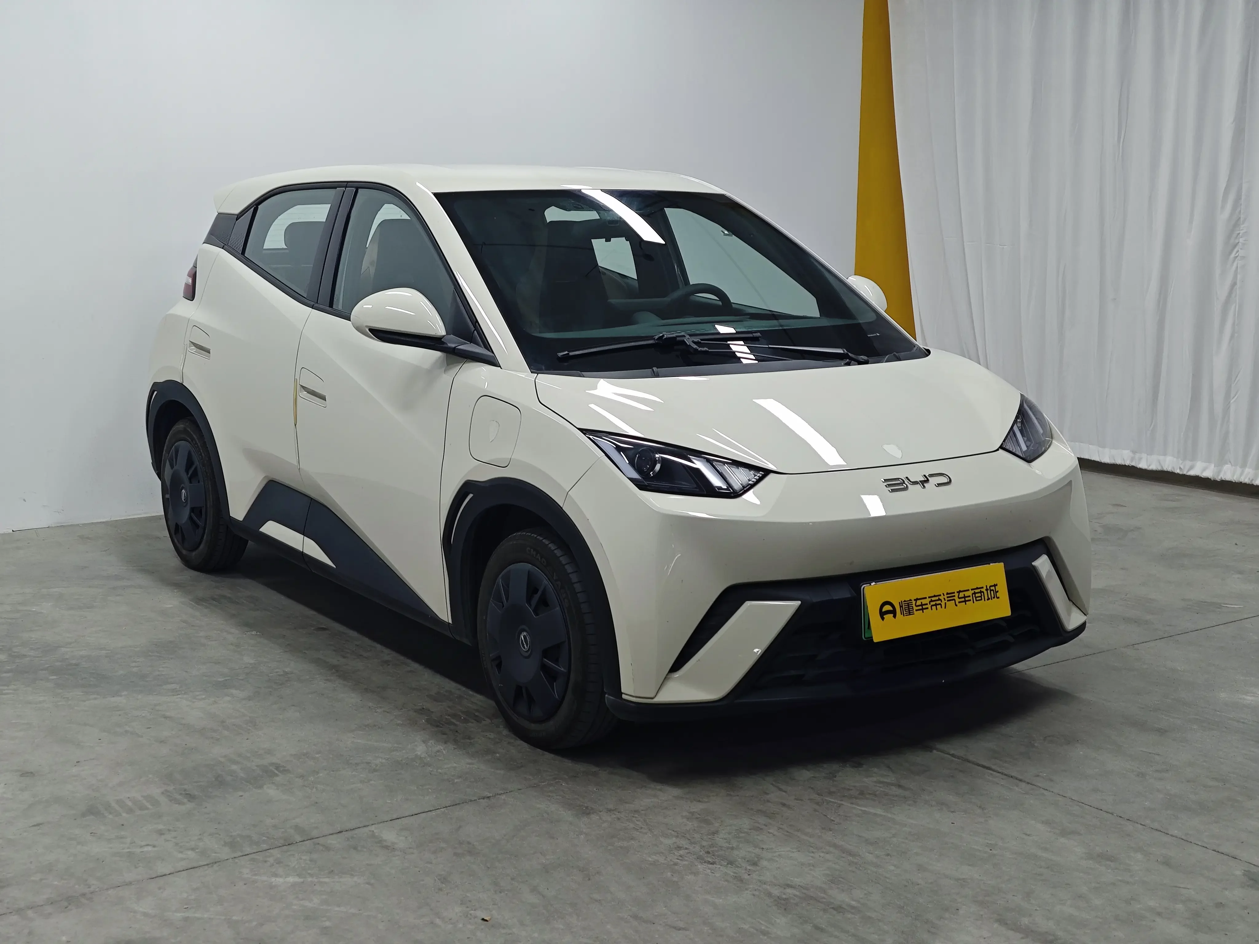BYD seagull