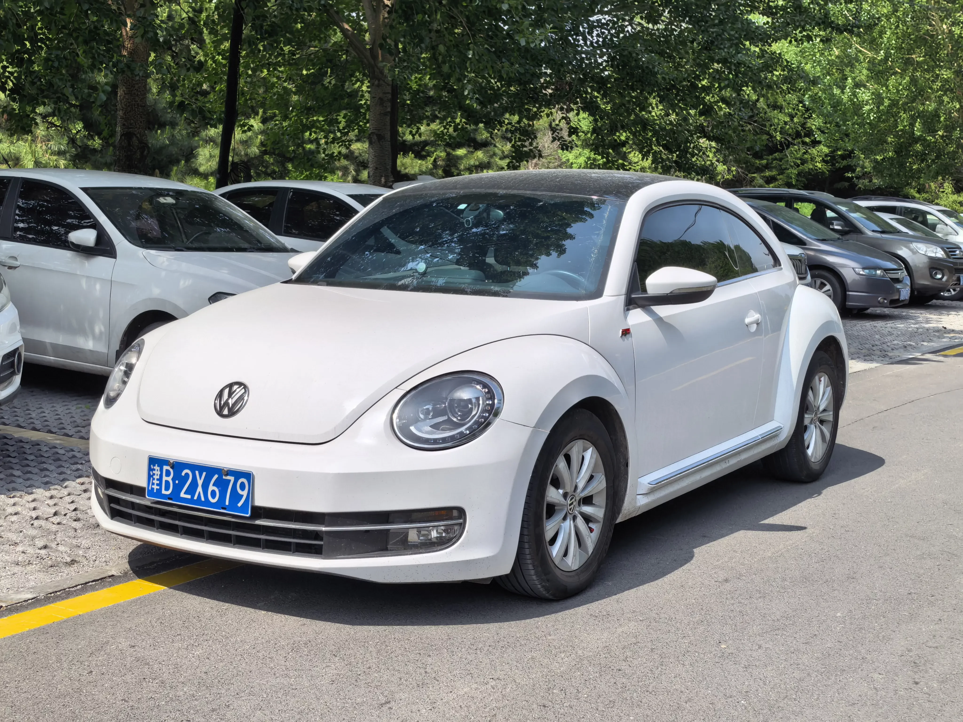 Volkswagen Beetle