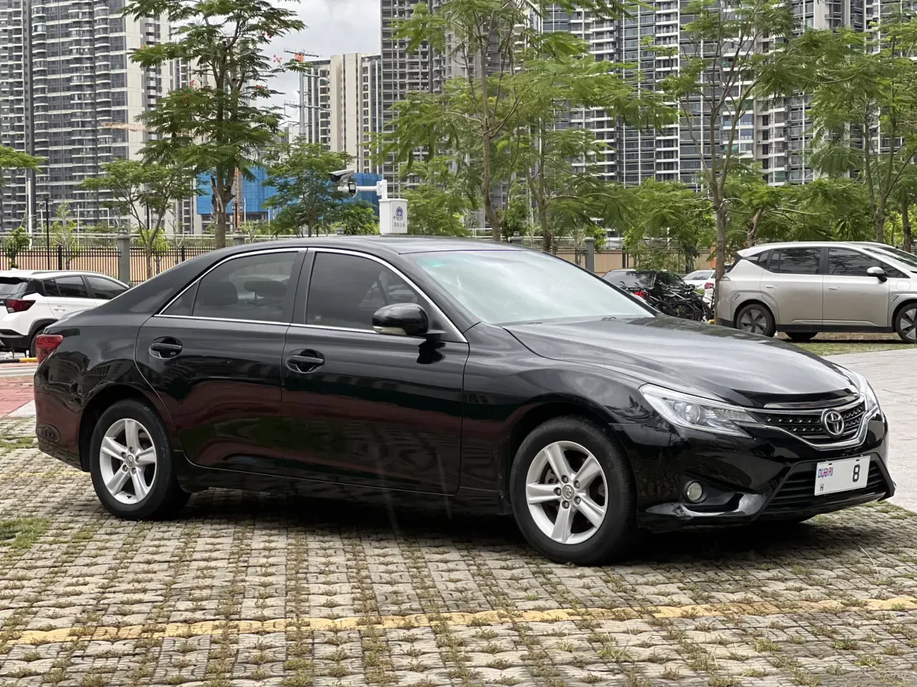 Toyota Ruizhi