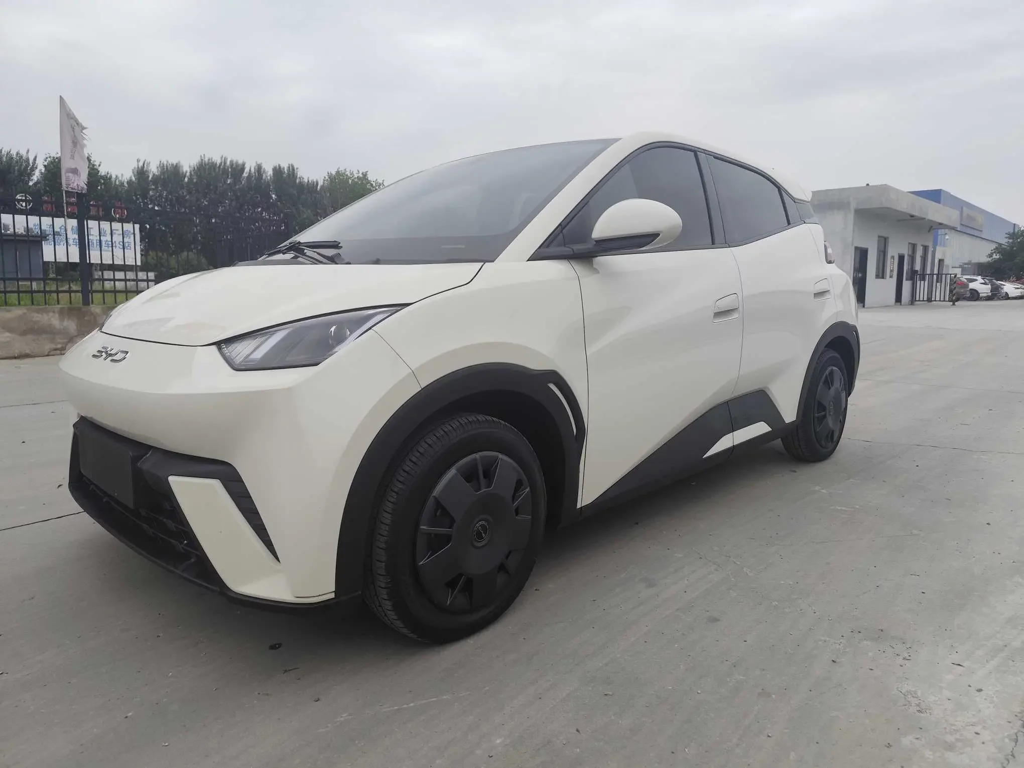 BYD seagull