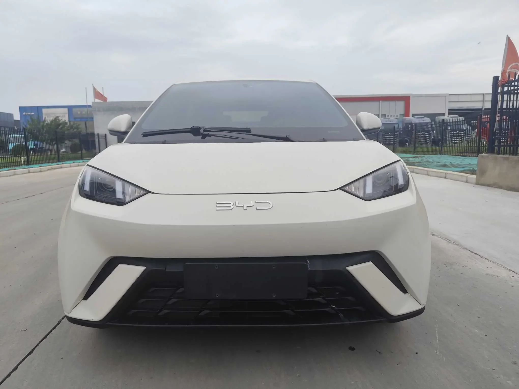 BYD seagull