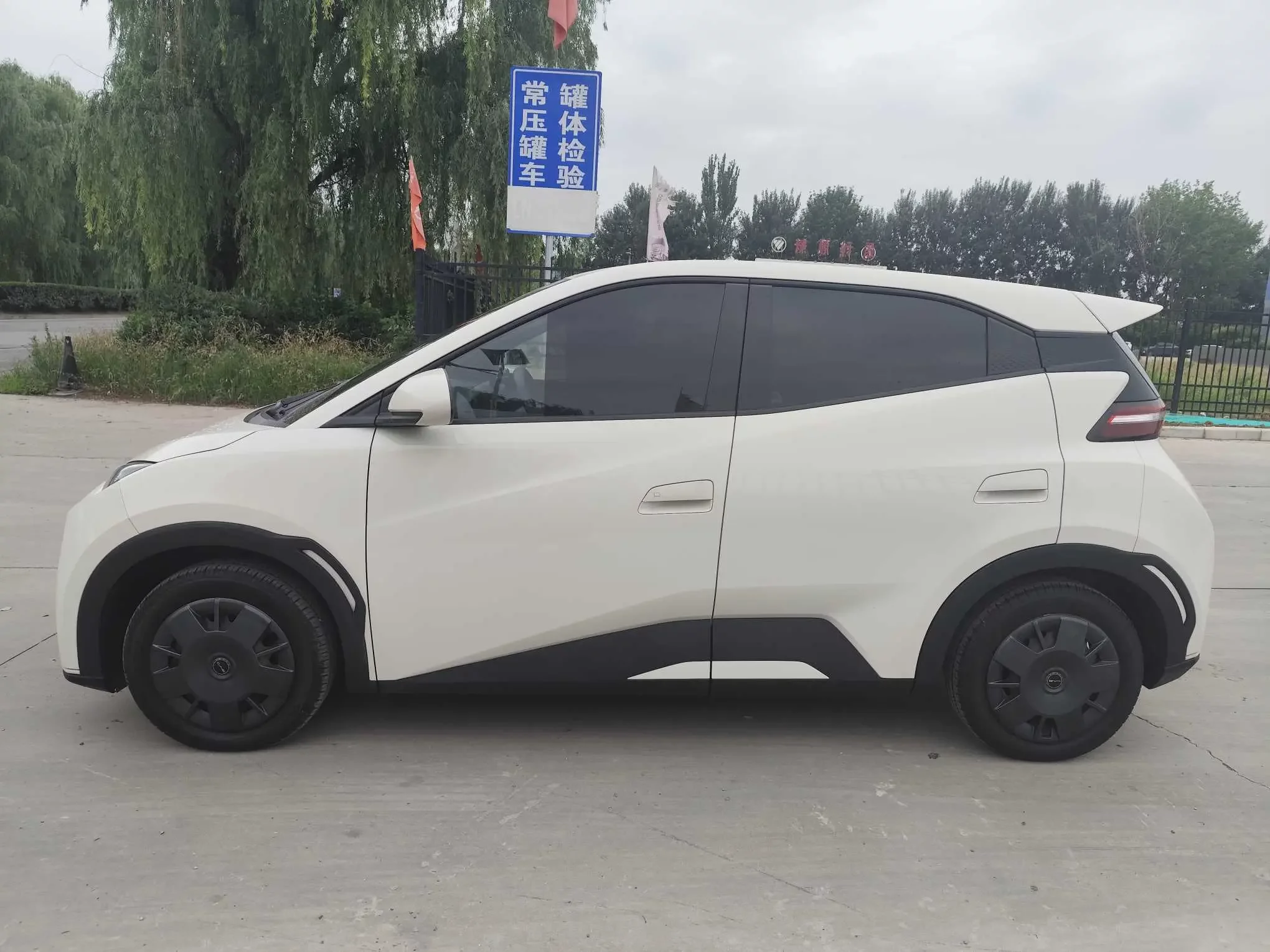 BYD seagull