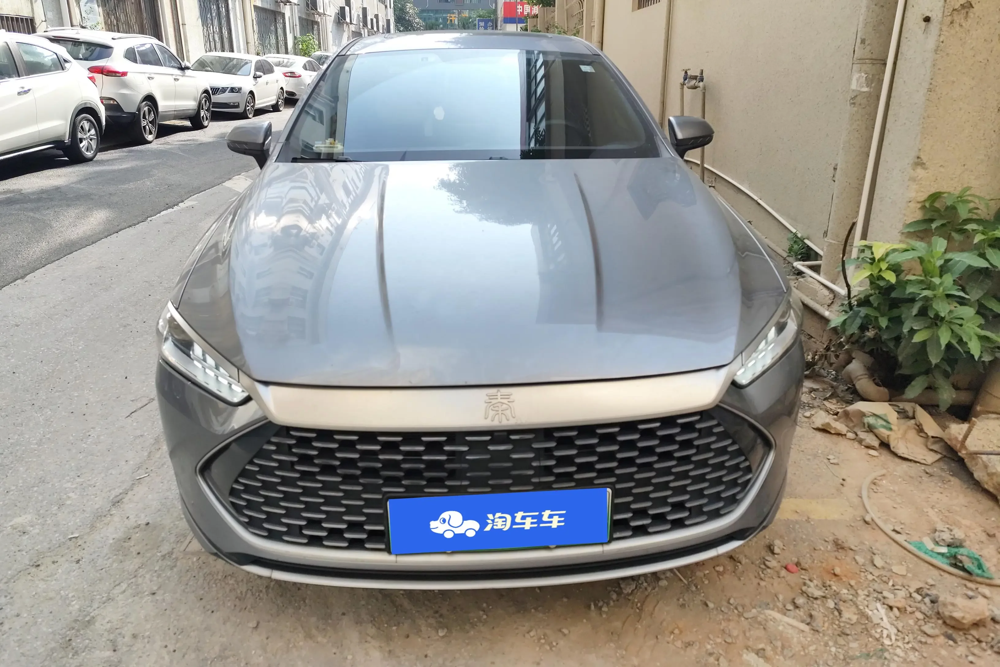 BYD Qin PLUS DM
