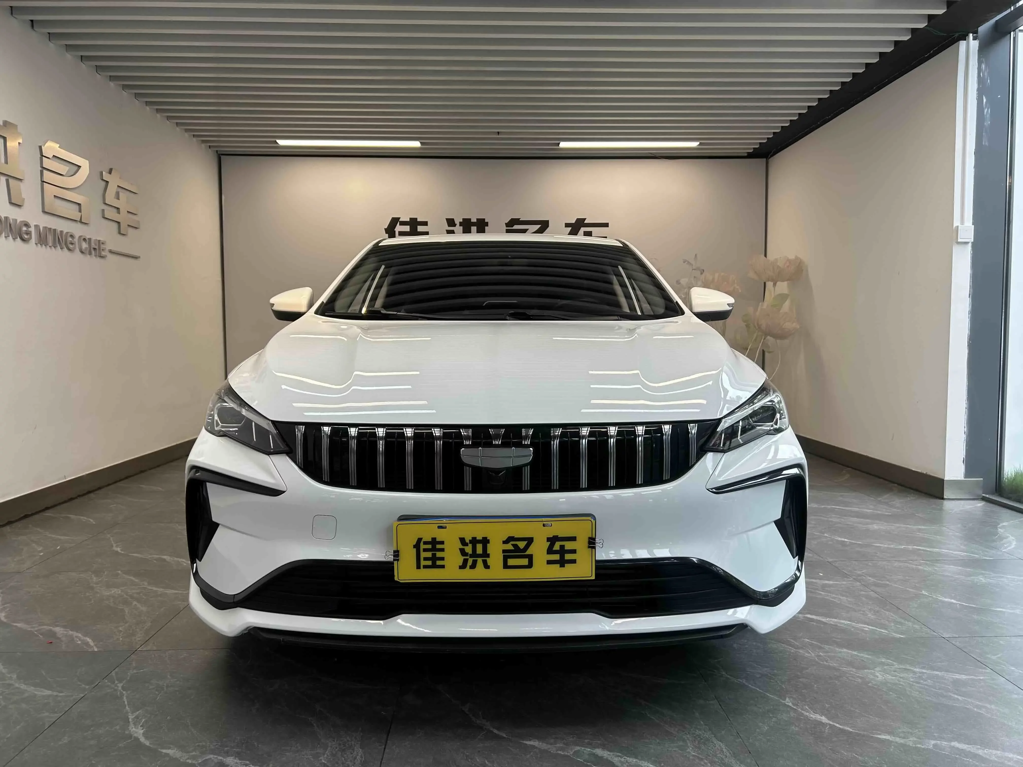 Geely Binrui