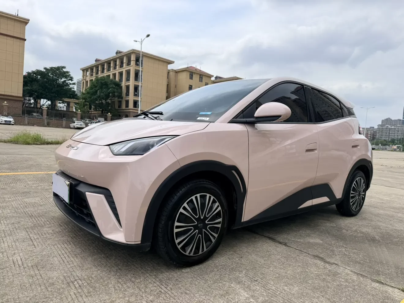BYD seagull