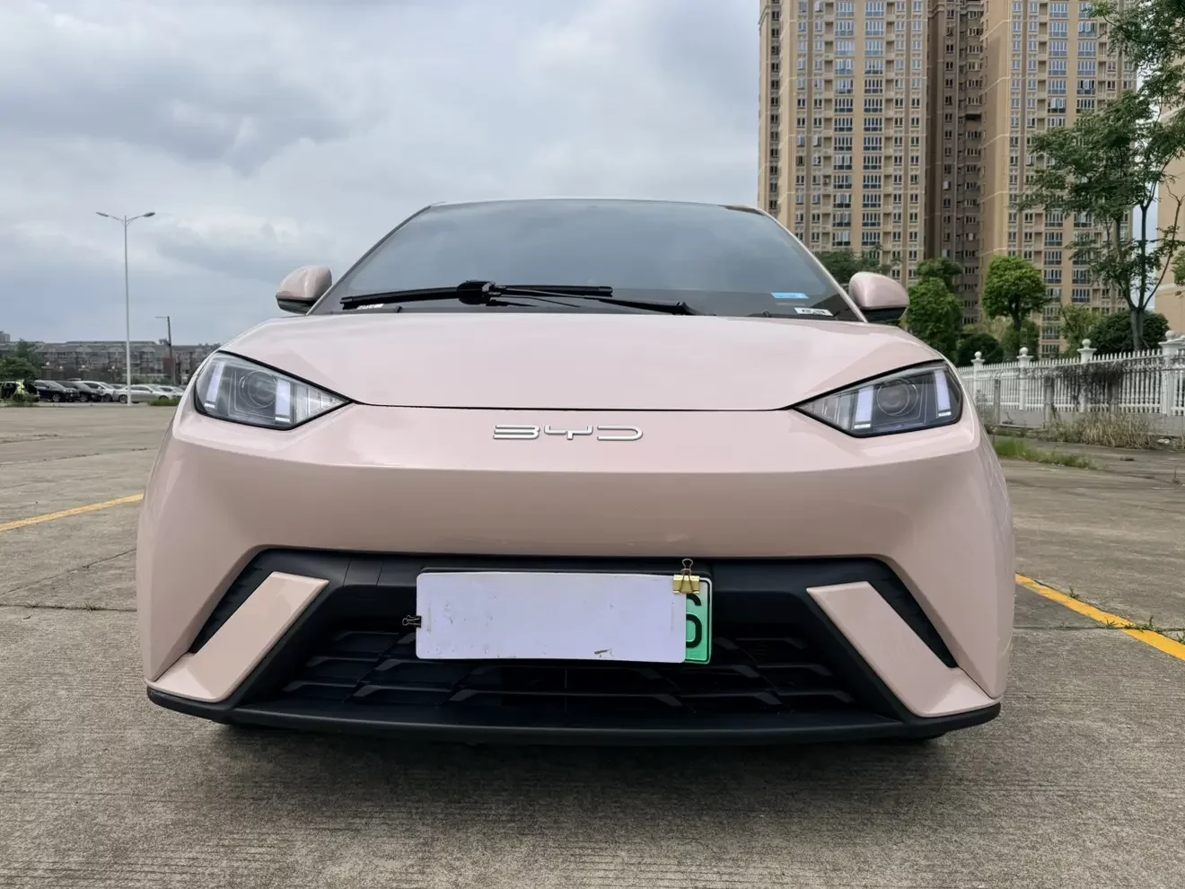BYD seagull