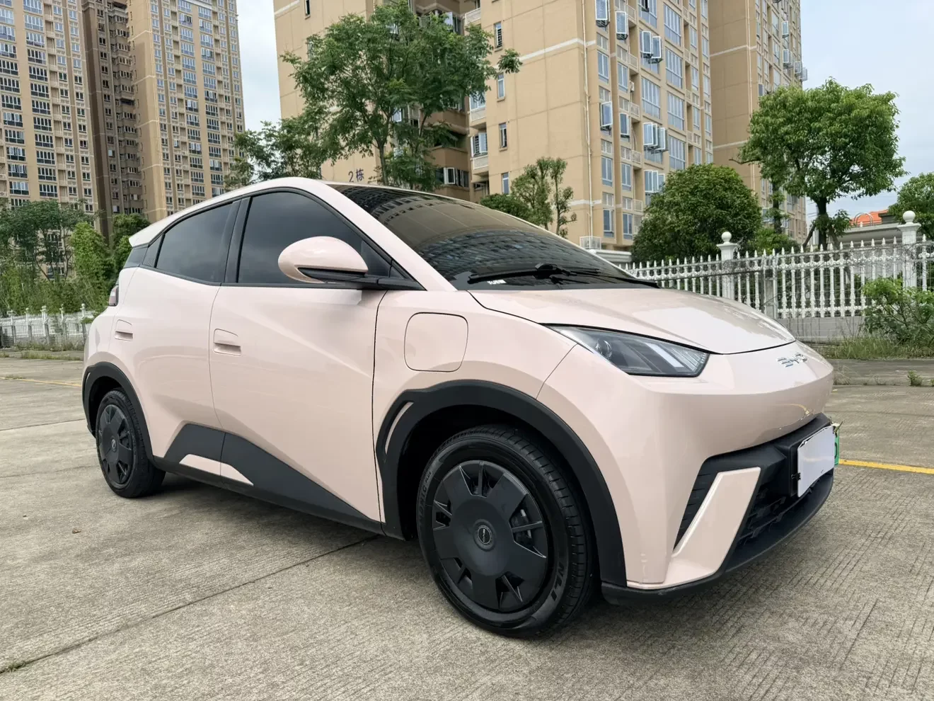 BYD seagull