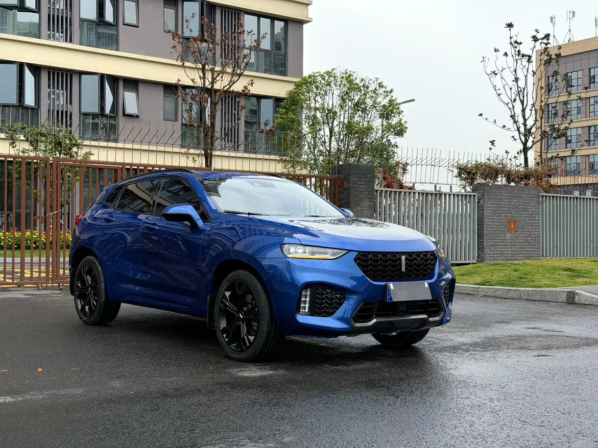 Wey Wei brand VV7