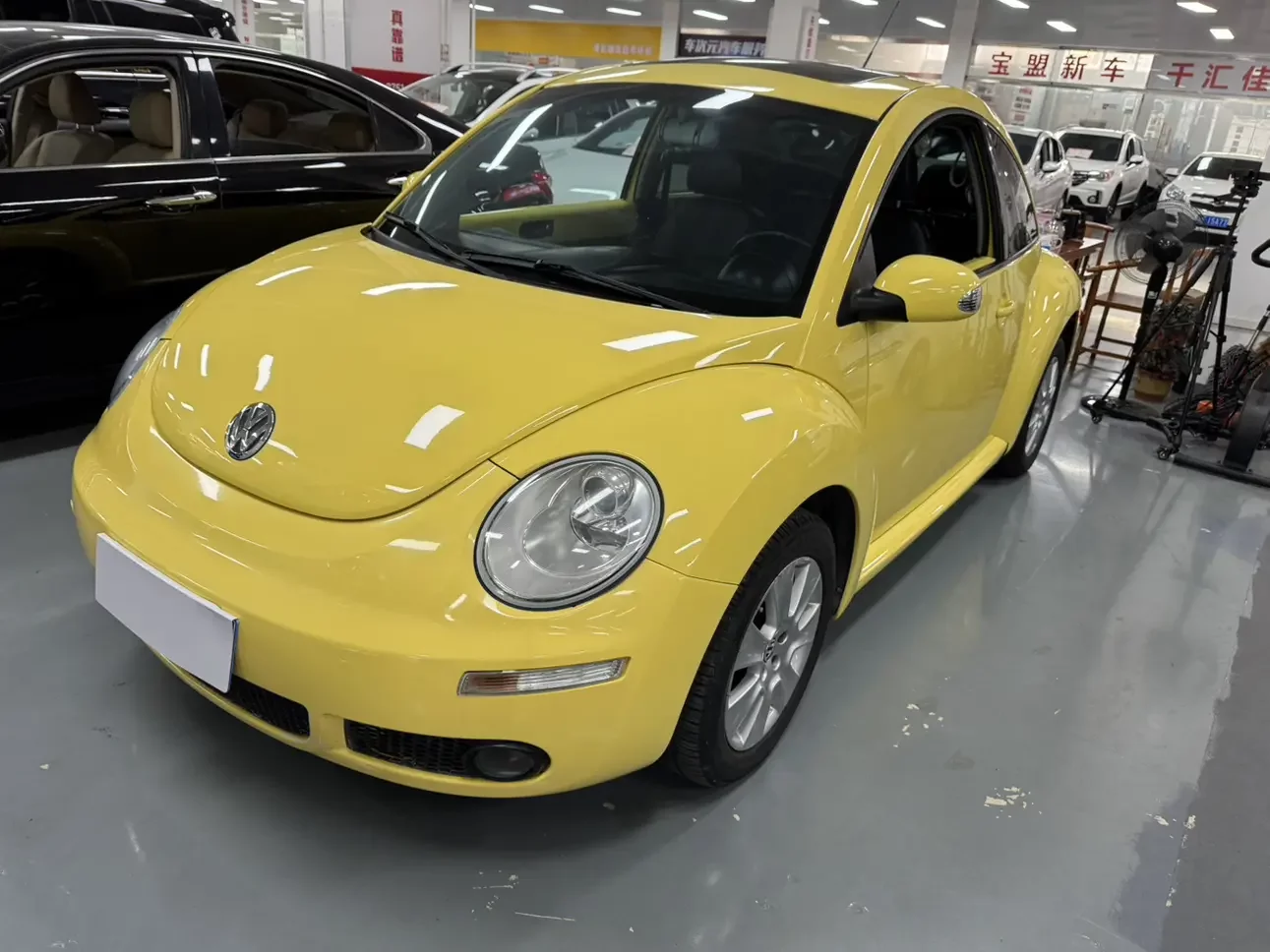 Volkswagen Beetle