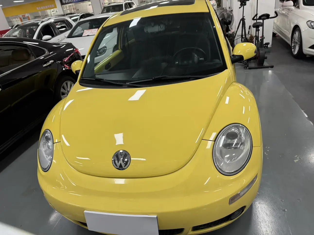 Volkswagen Beetle