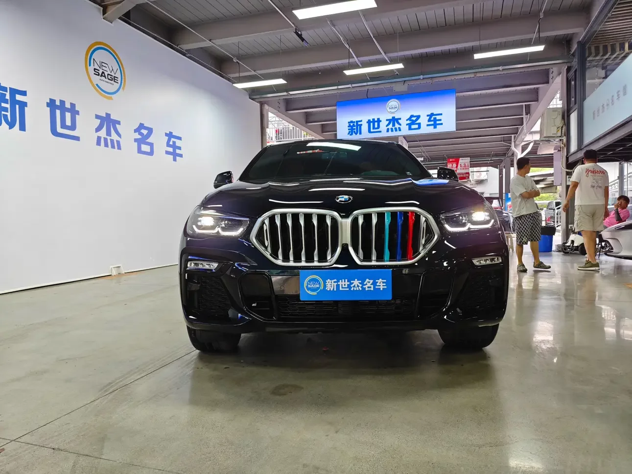BMW X6