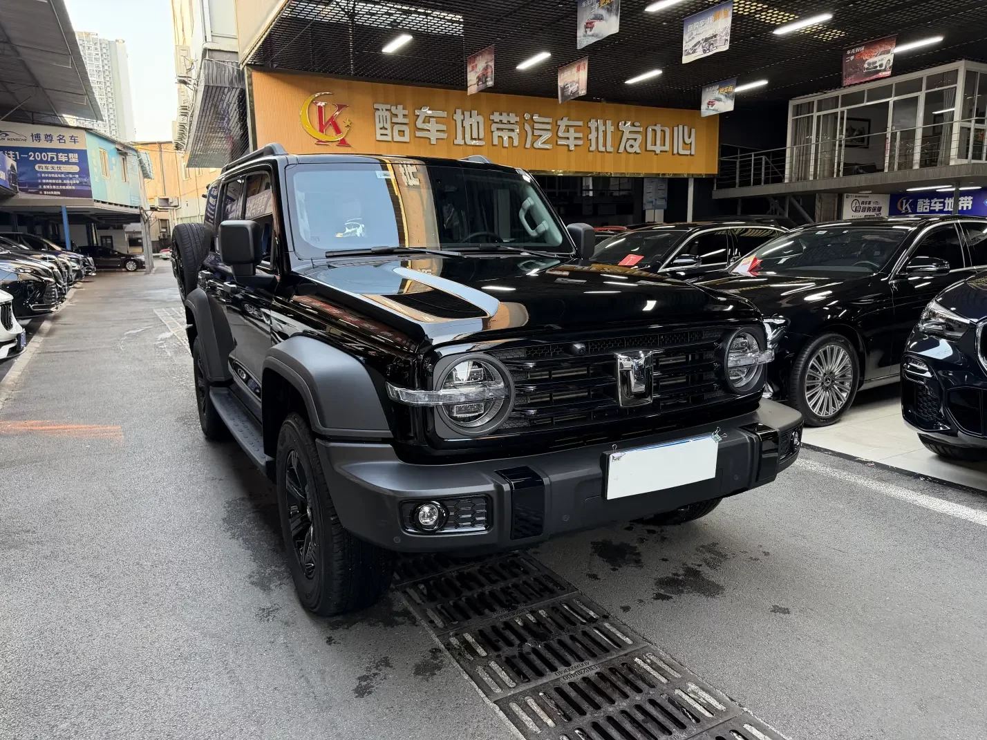 Tank 300