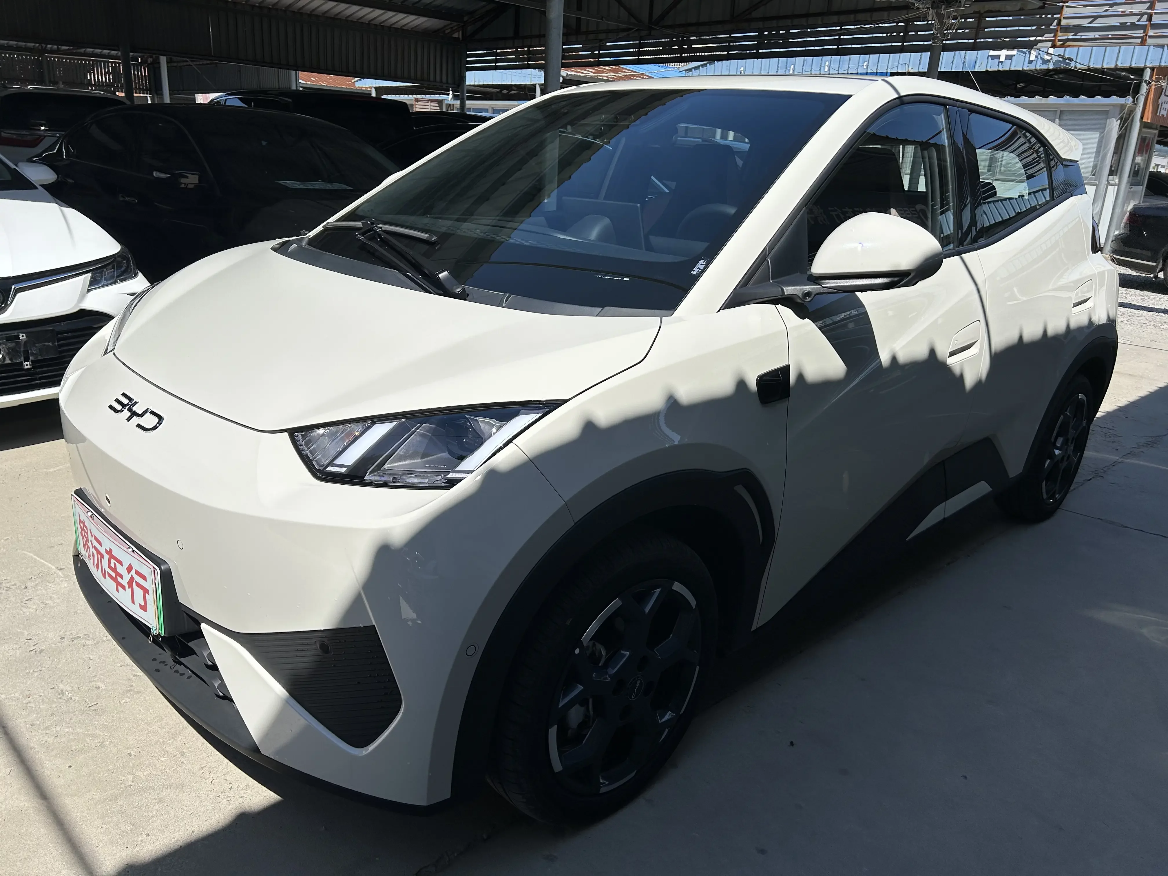 BYD seagull