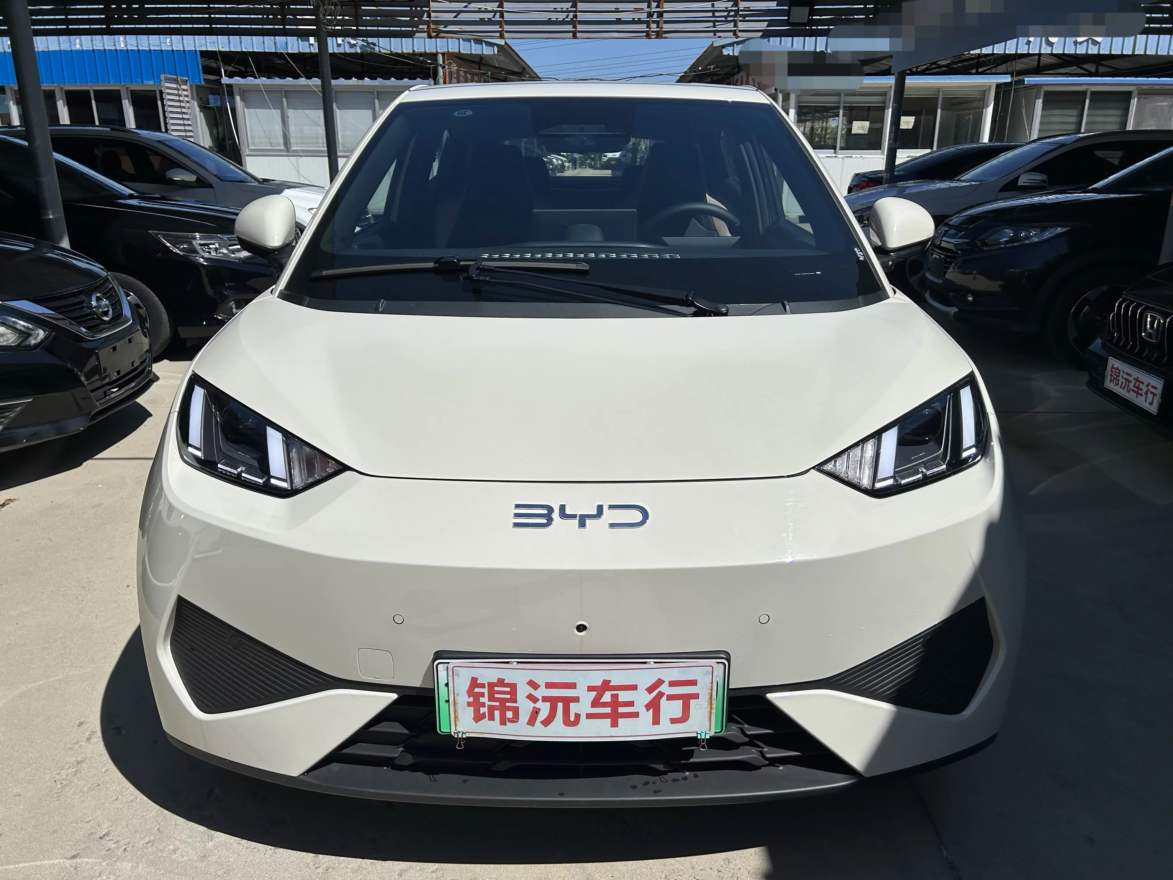 BYD seagull