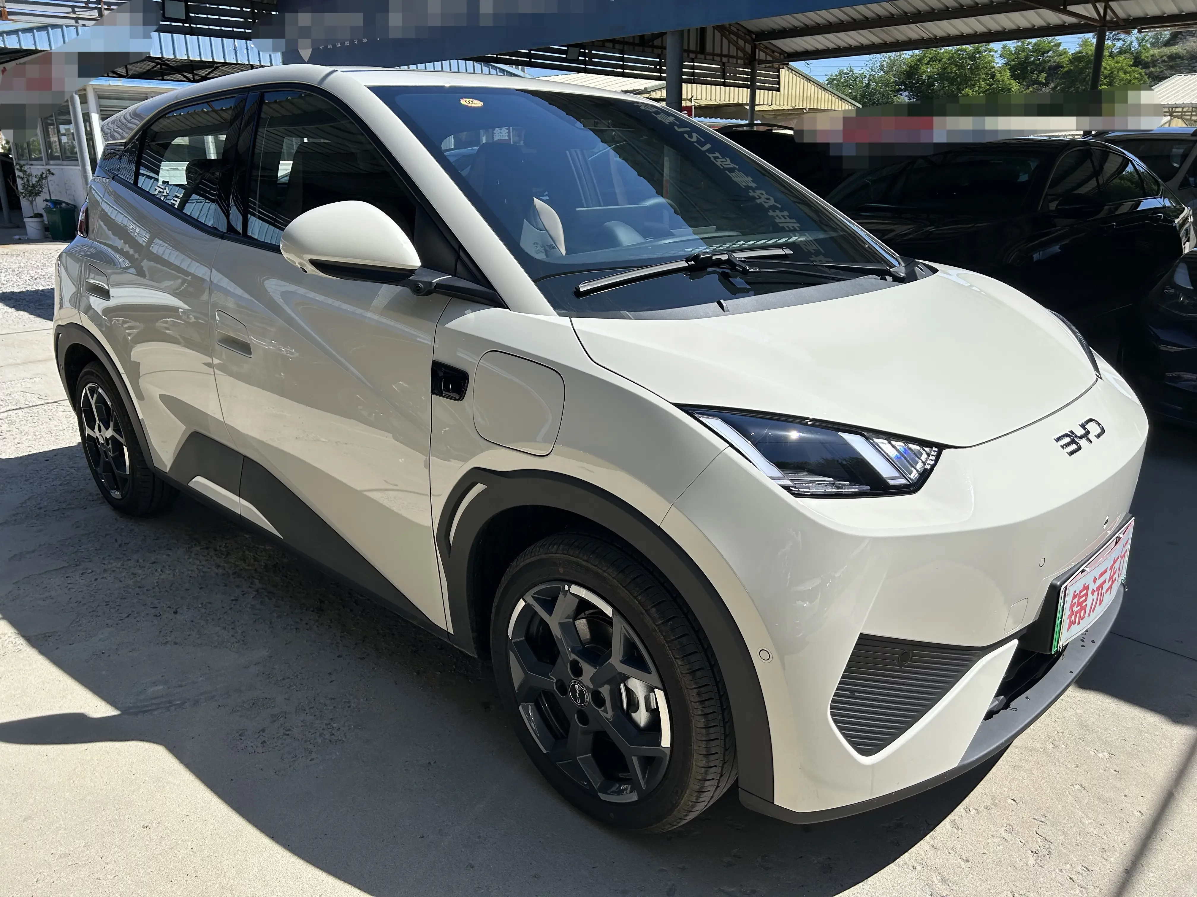 BYD seagull