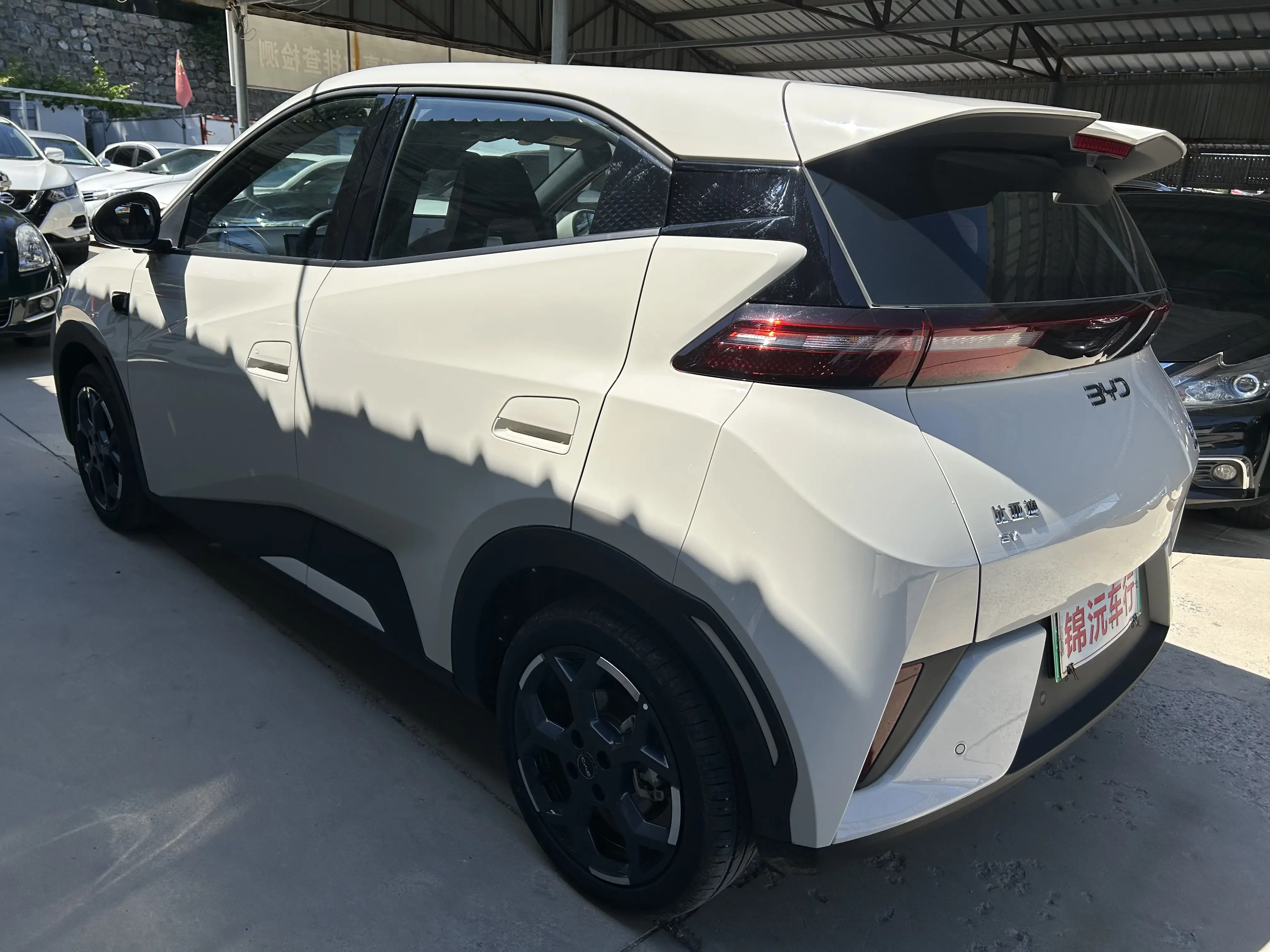 BYD seagull