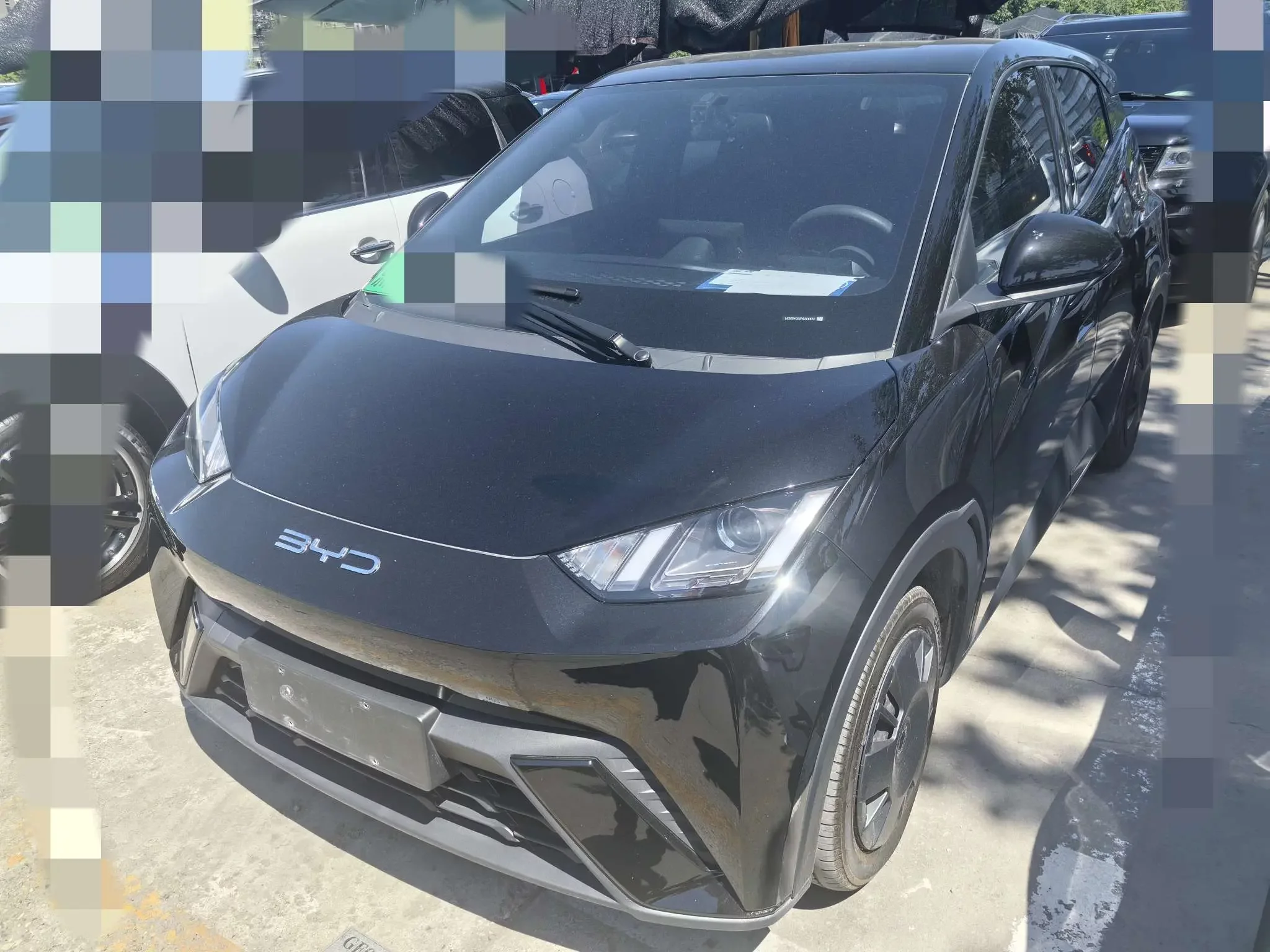 BYD seagull