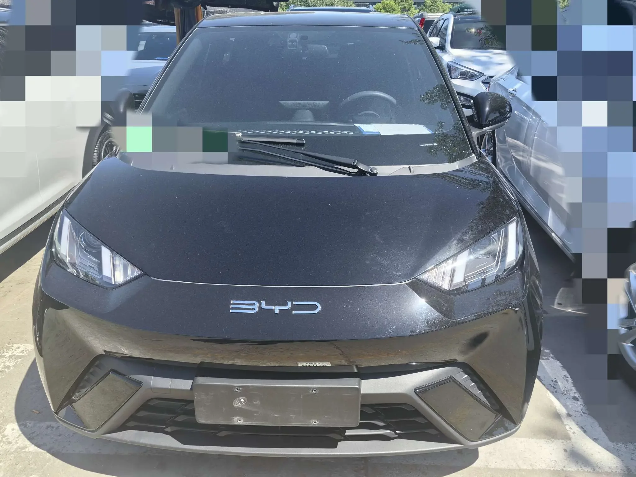 BYD seagull