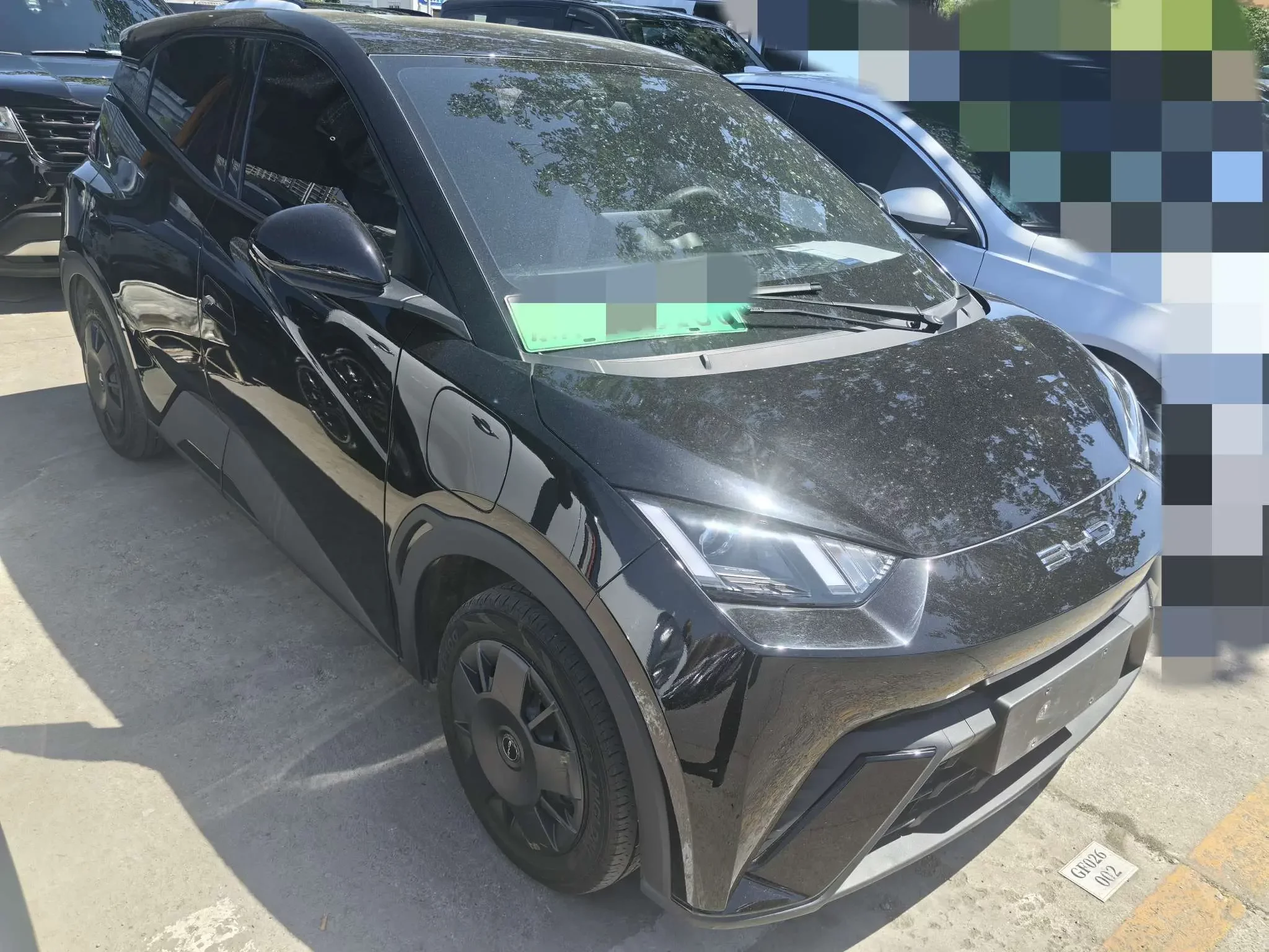 BYD seagull