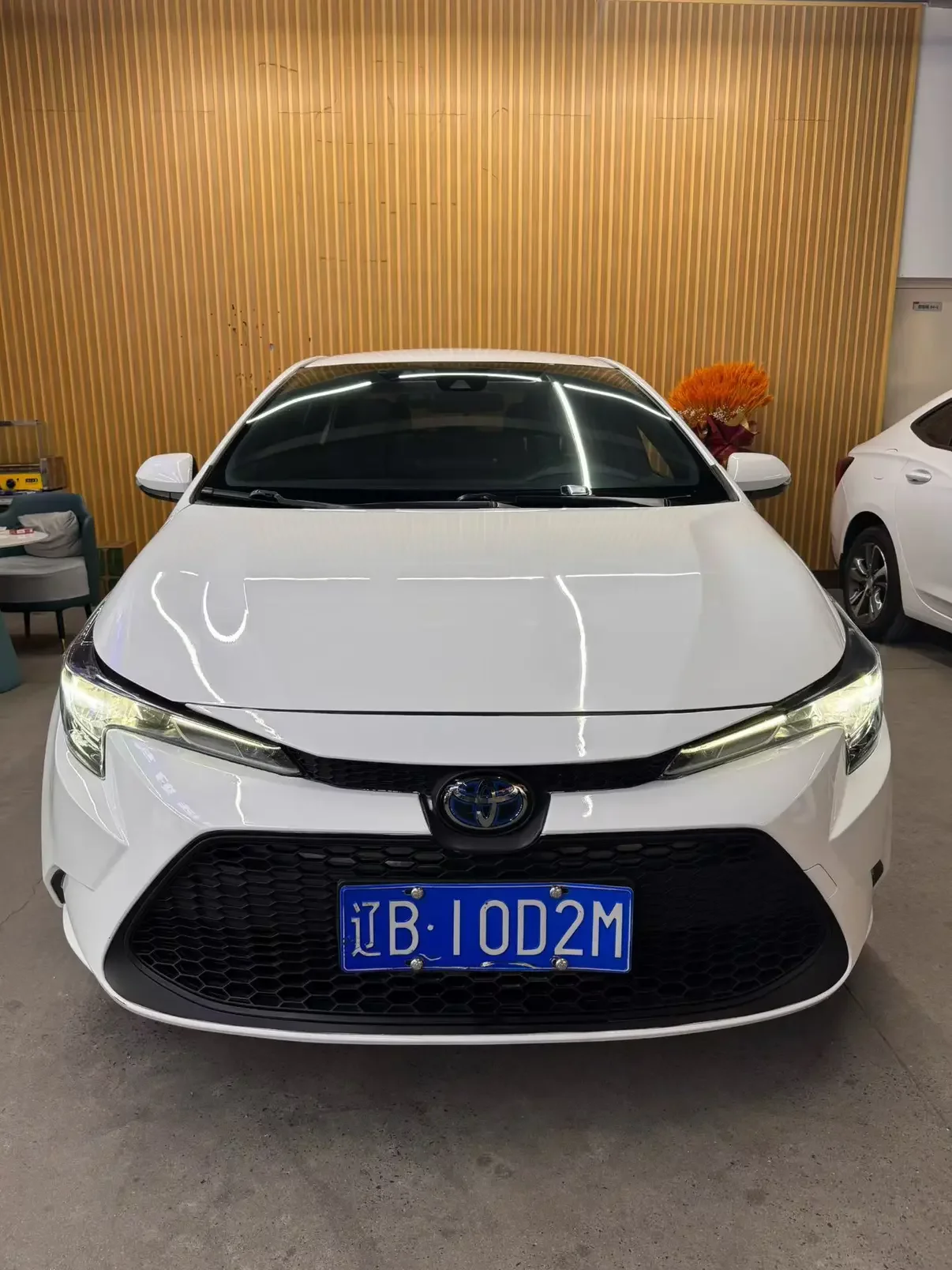Toyota Levin