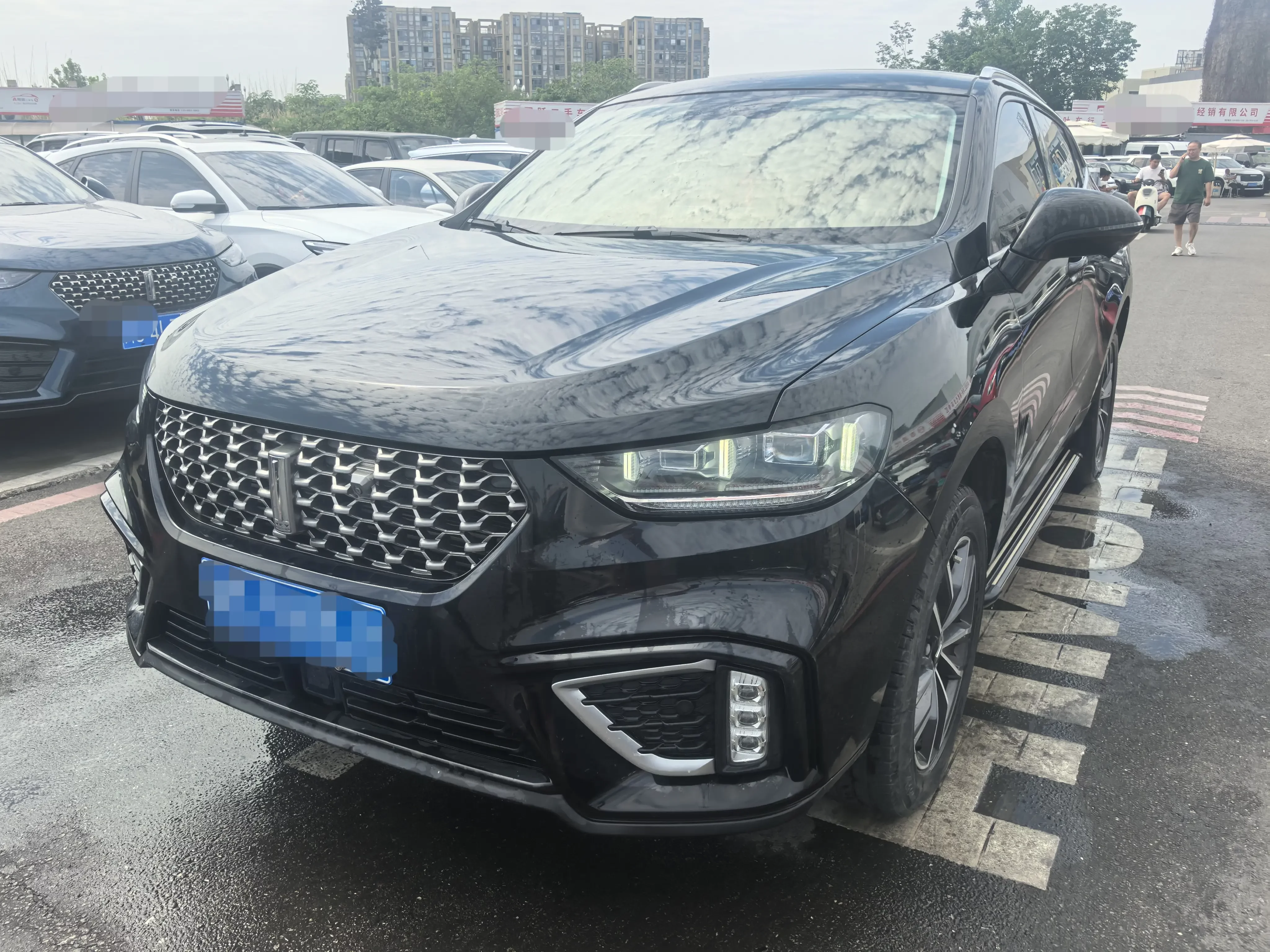 Wey Wei brand VV5