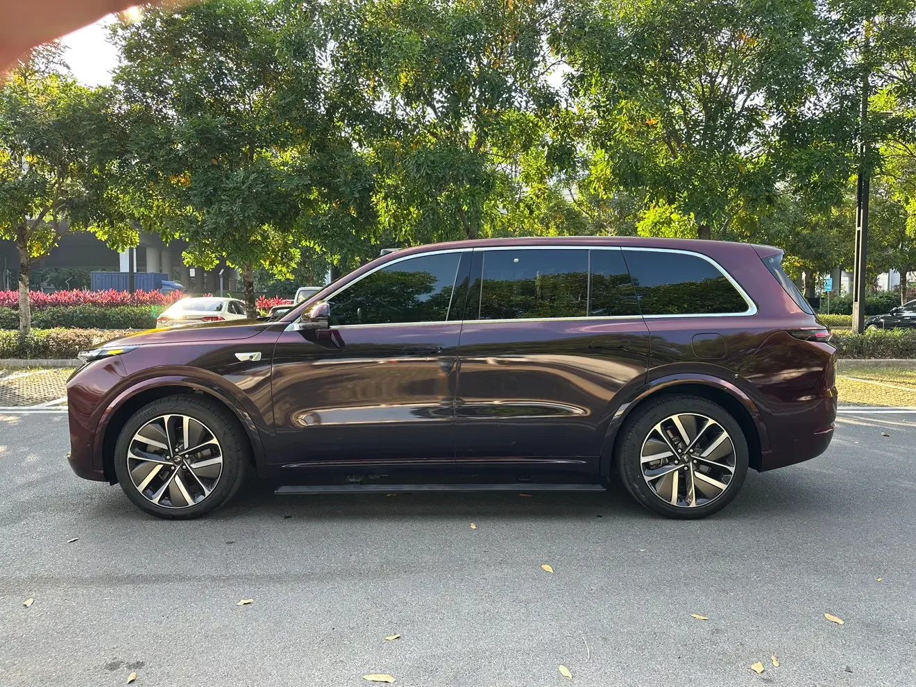 Lixiang L9