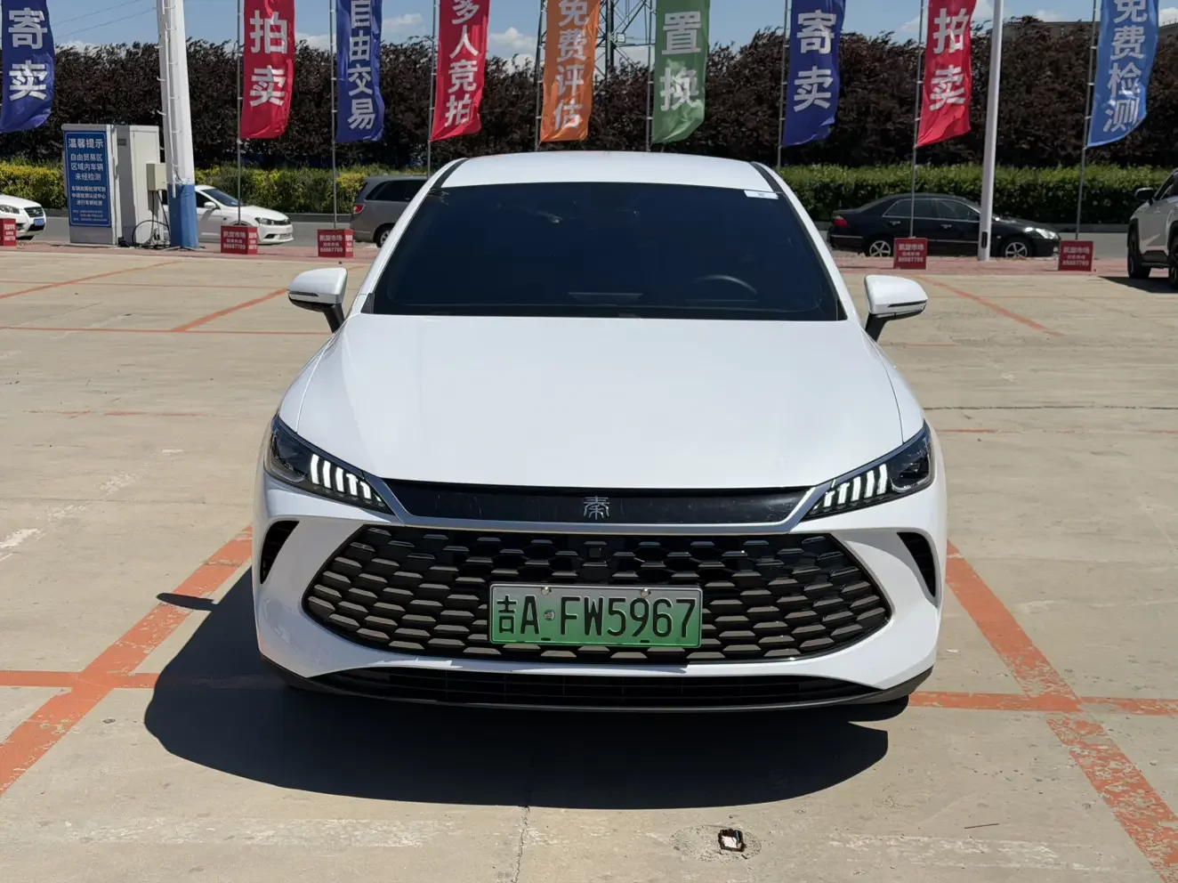 BYD Qin PLUS DM