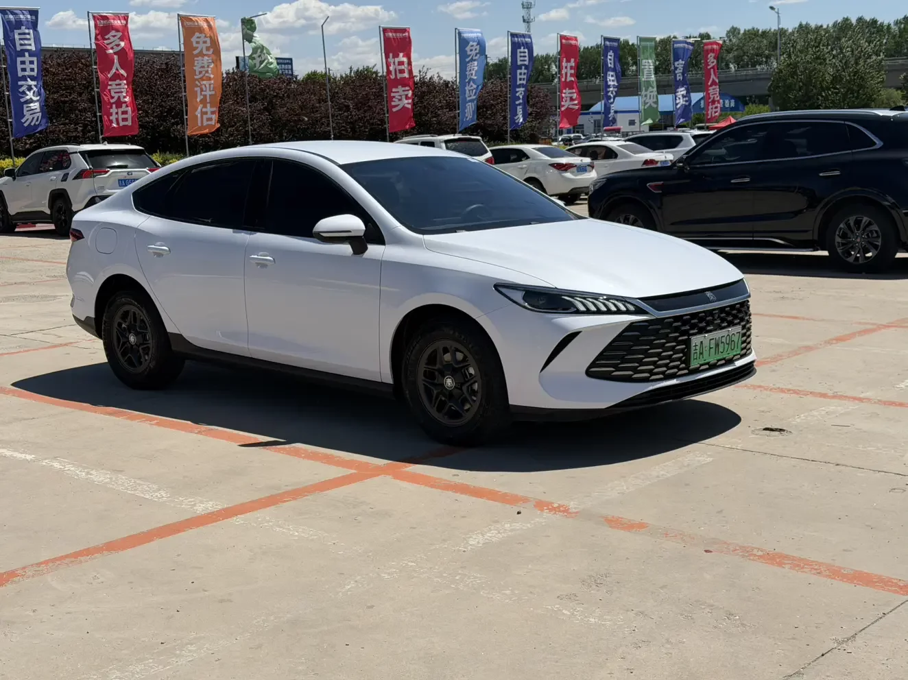 BYD Qin PLUS DM