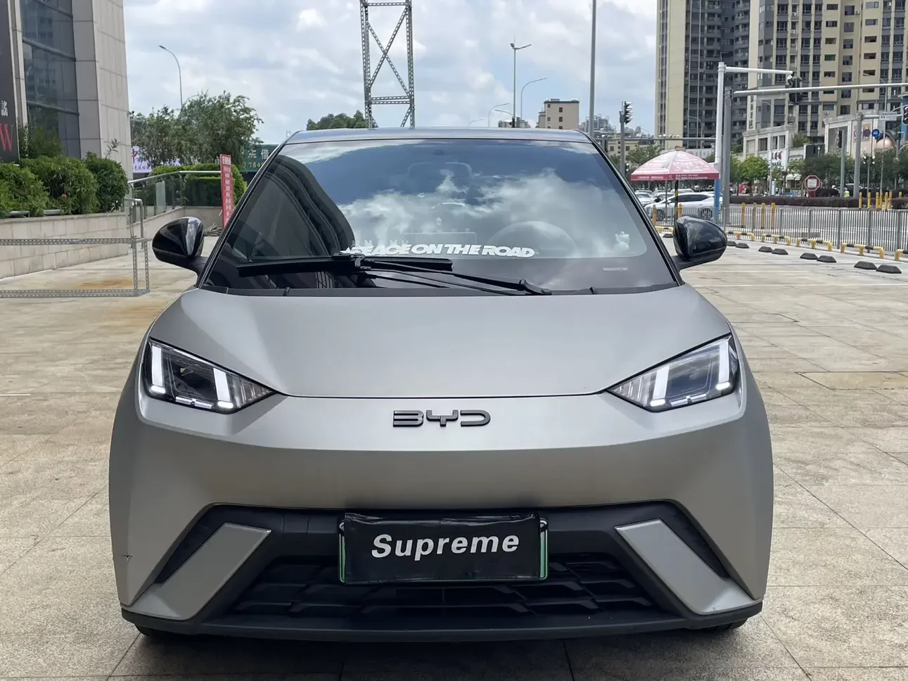 BYD seagull