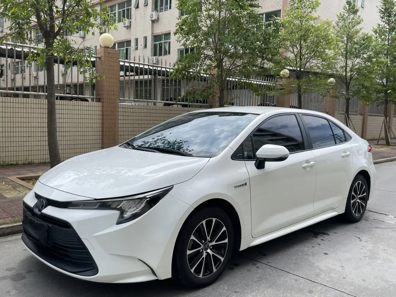 Toyota Levin