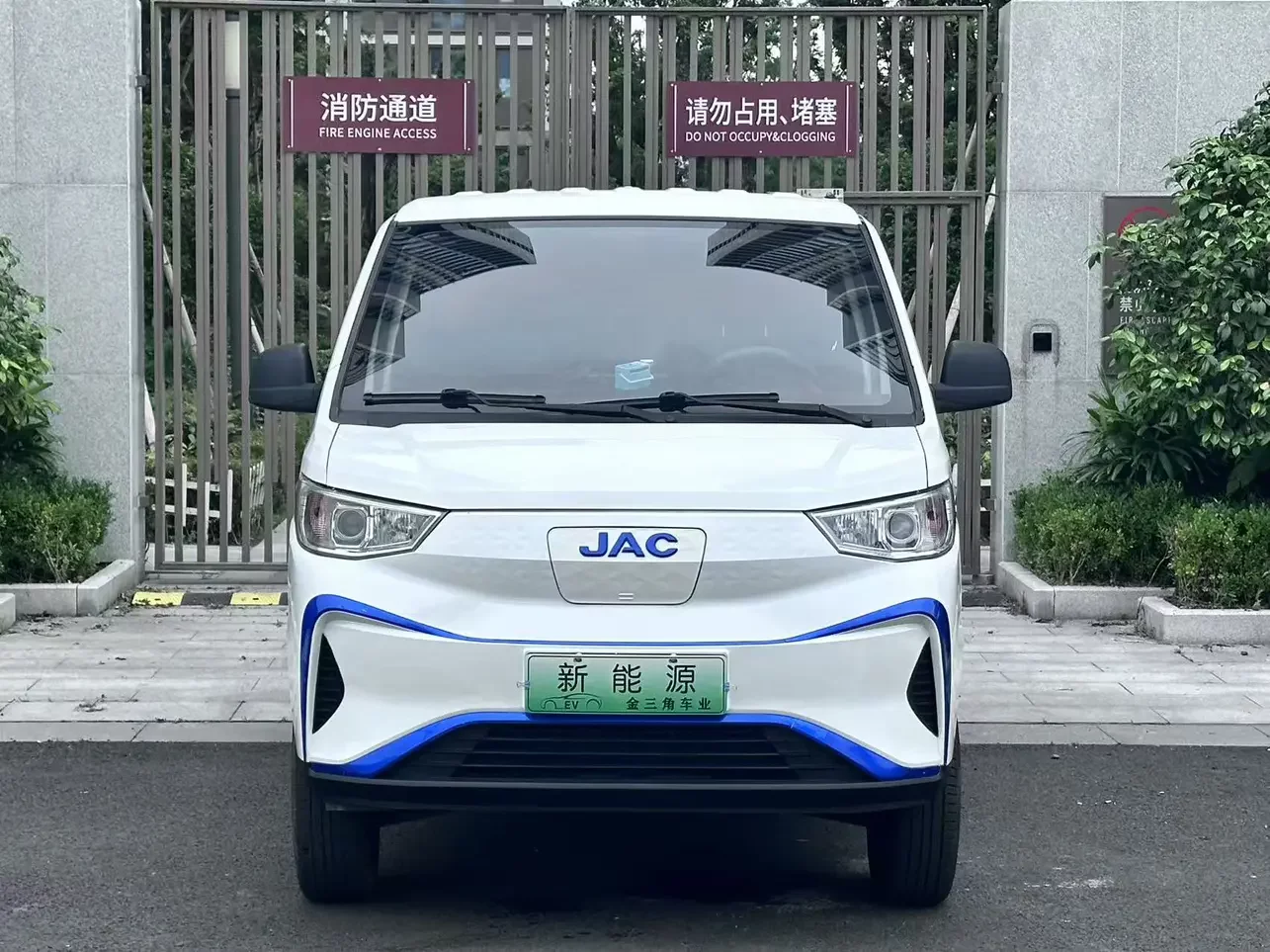 Jiangxi blue cat