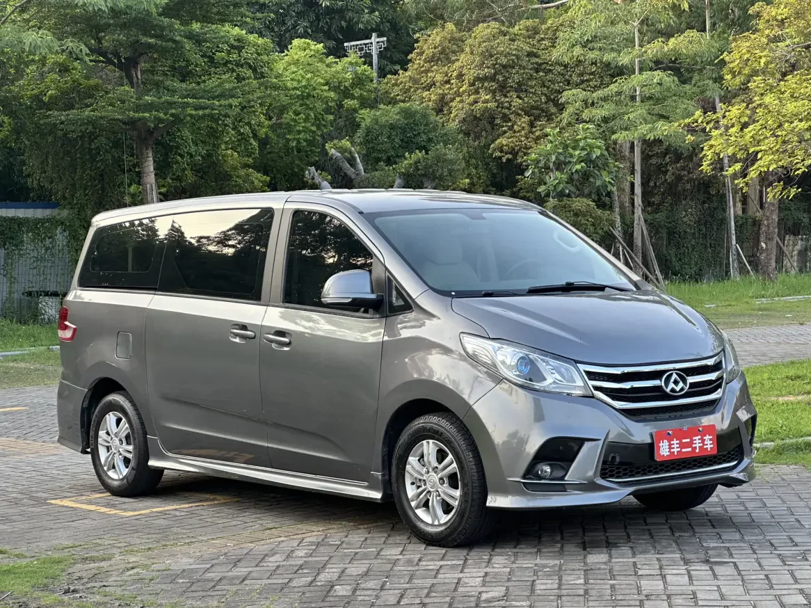 Datong Maxus G10