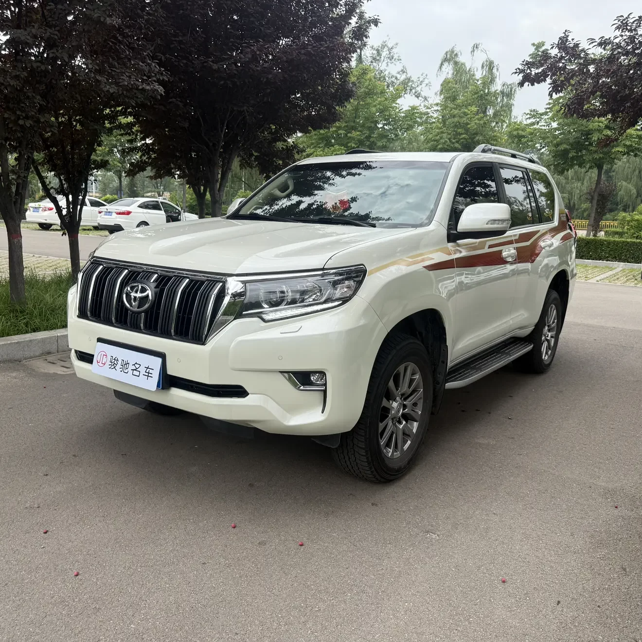 Toyota prado