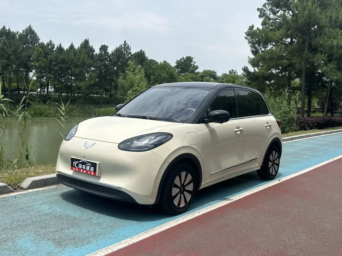 Wuling Bingo