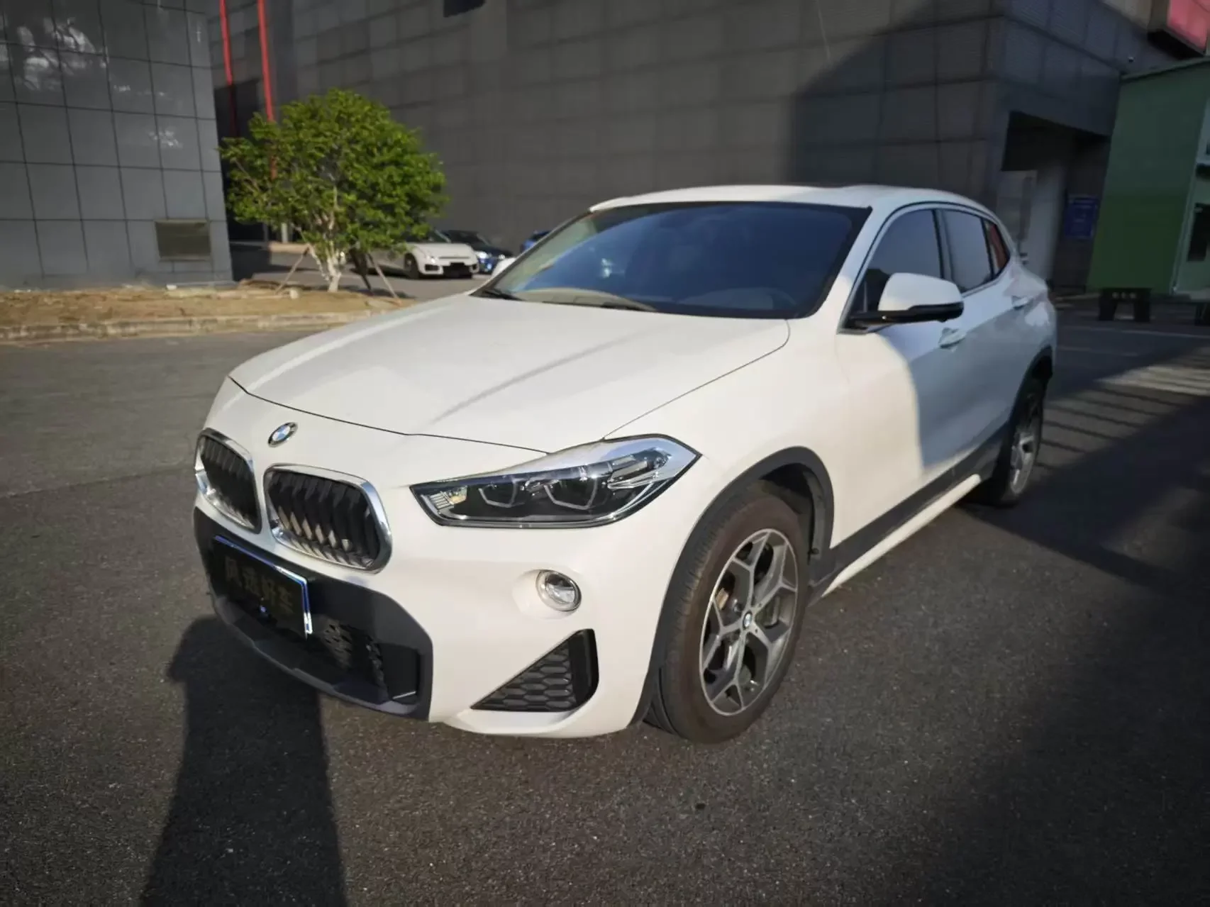 BMW X2