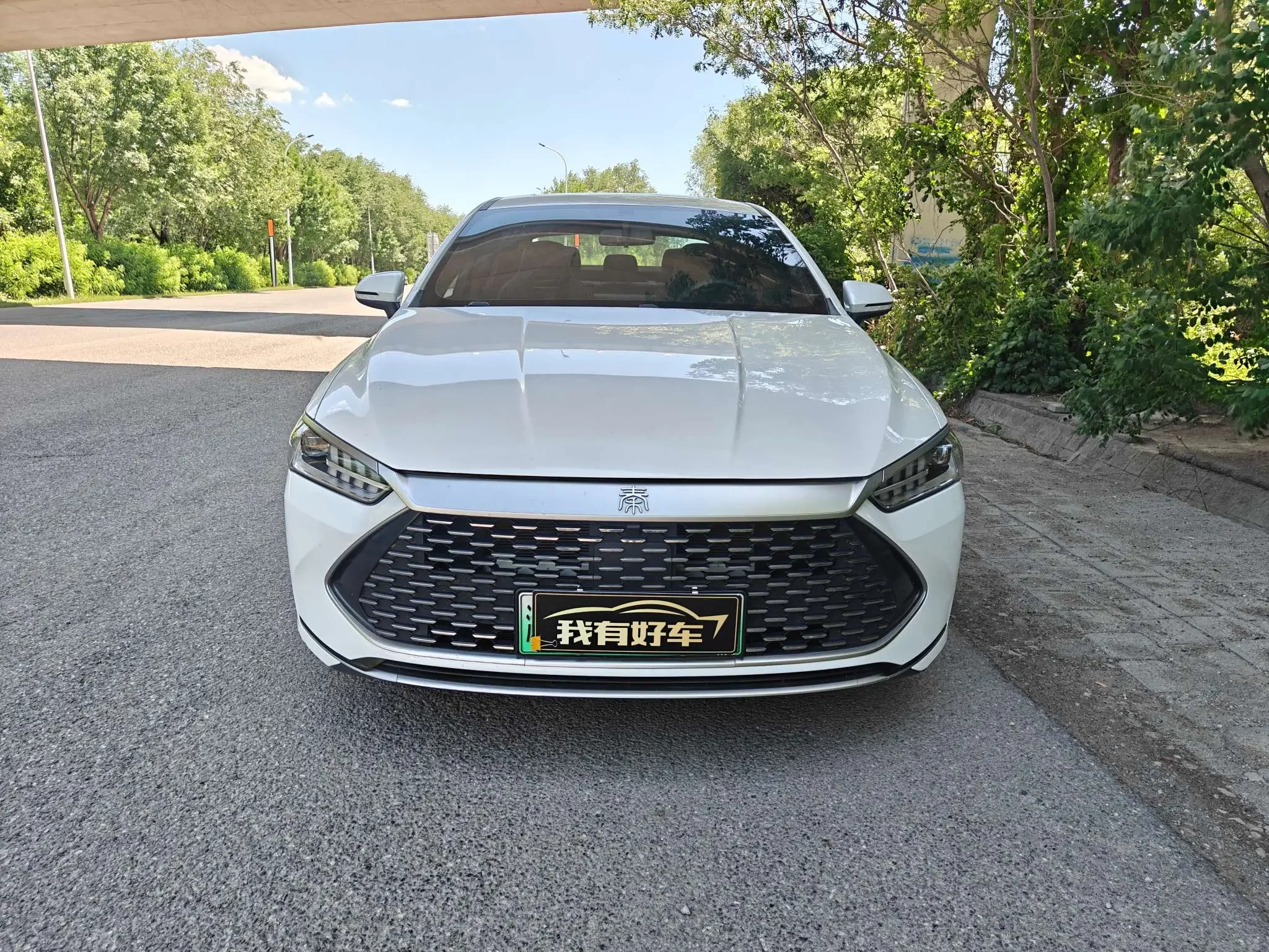 BYD Qin PLUS DM