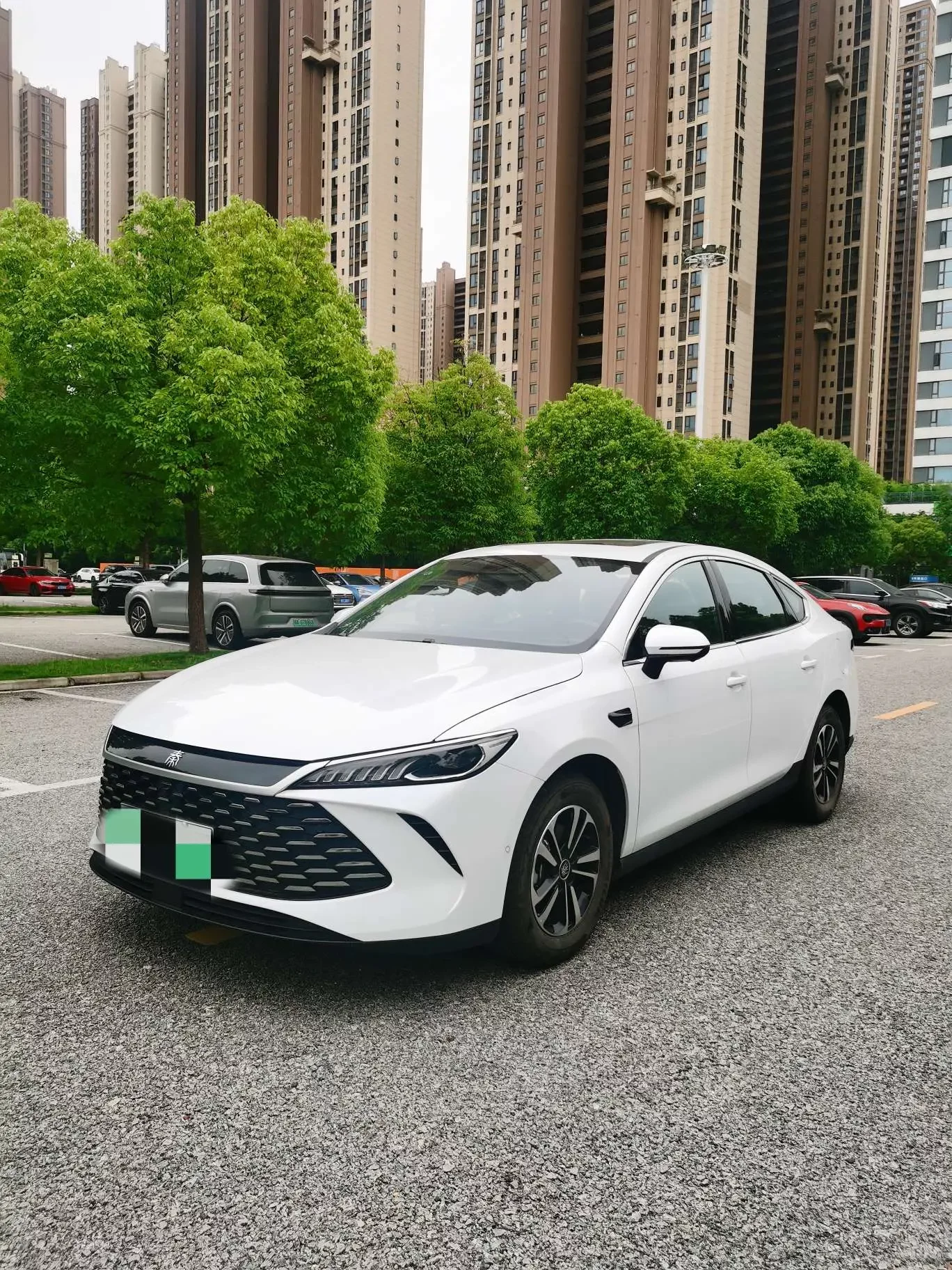 BYD Qin PLUS DM