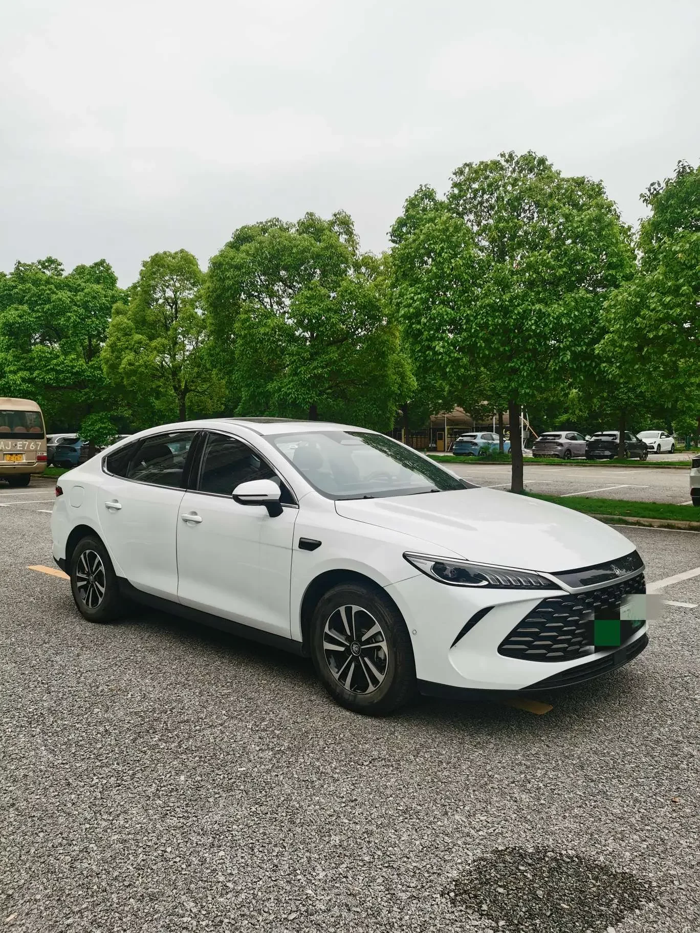BYD Qin PLUS DM