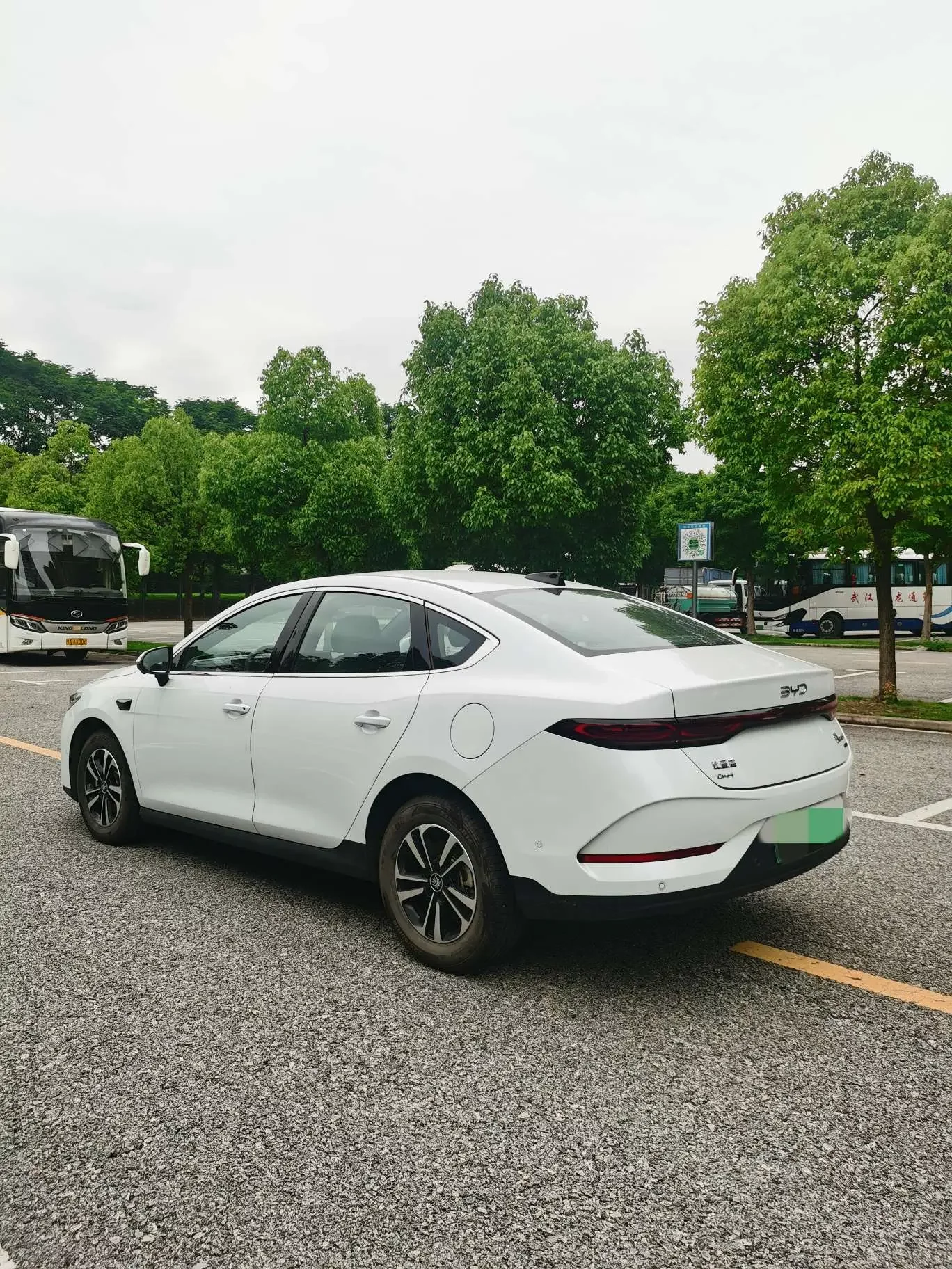 BYD Qin PLUS DM