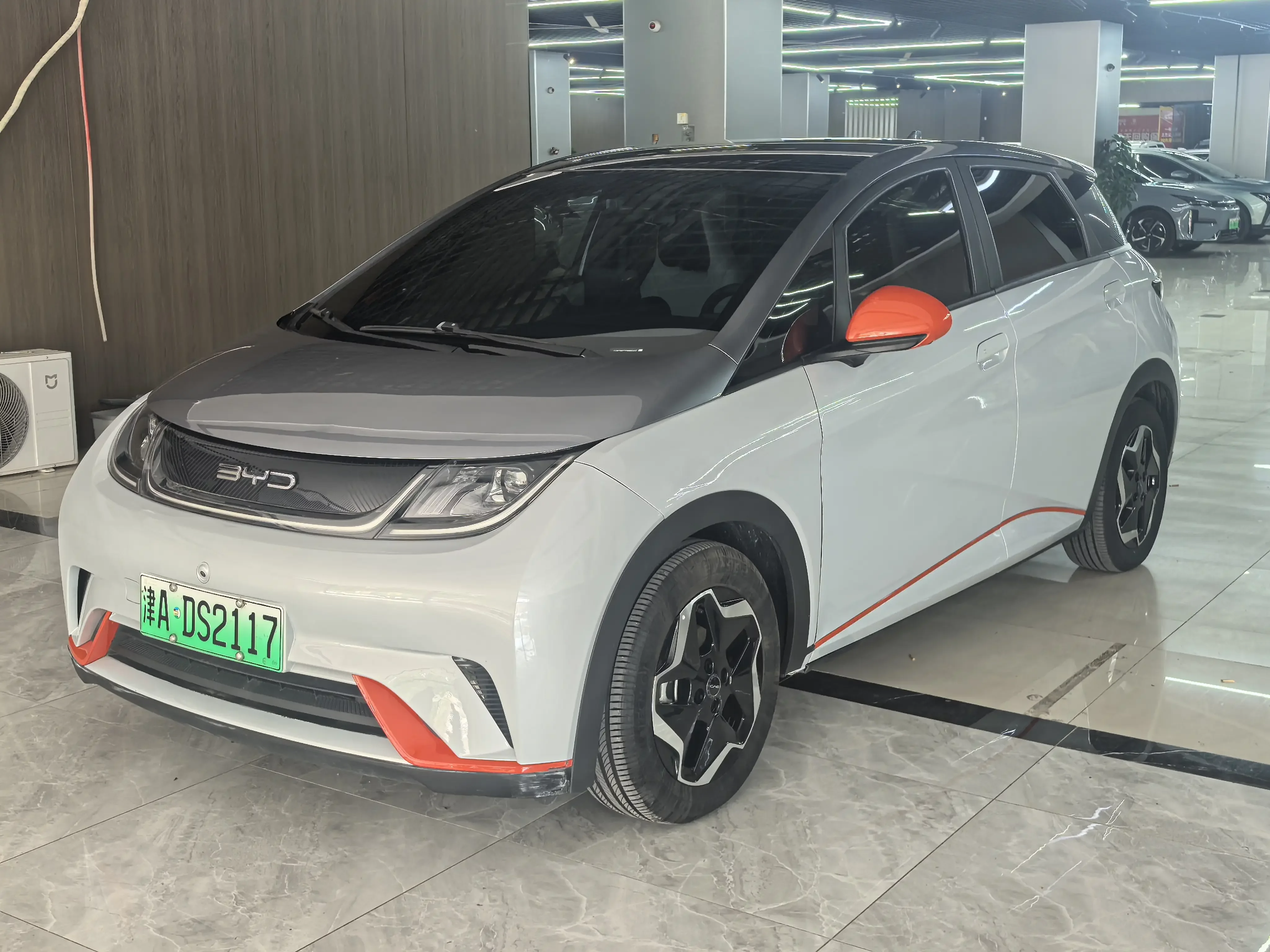 BYD dolphin